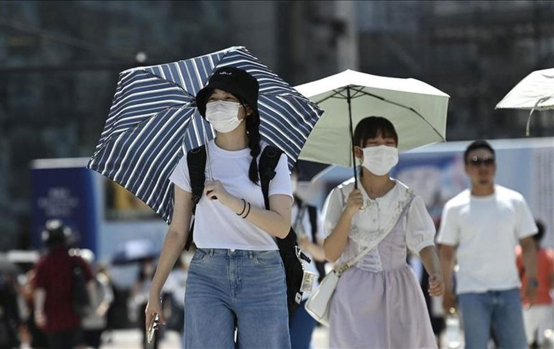 日本今年百日咳病例已超过去年全年的10倍。