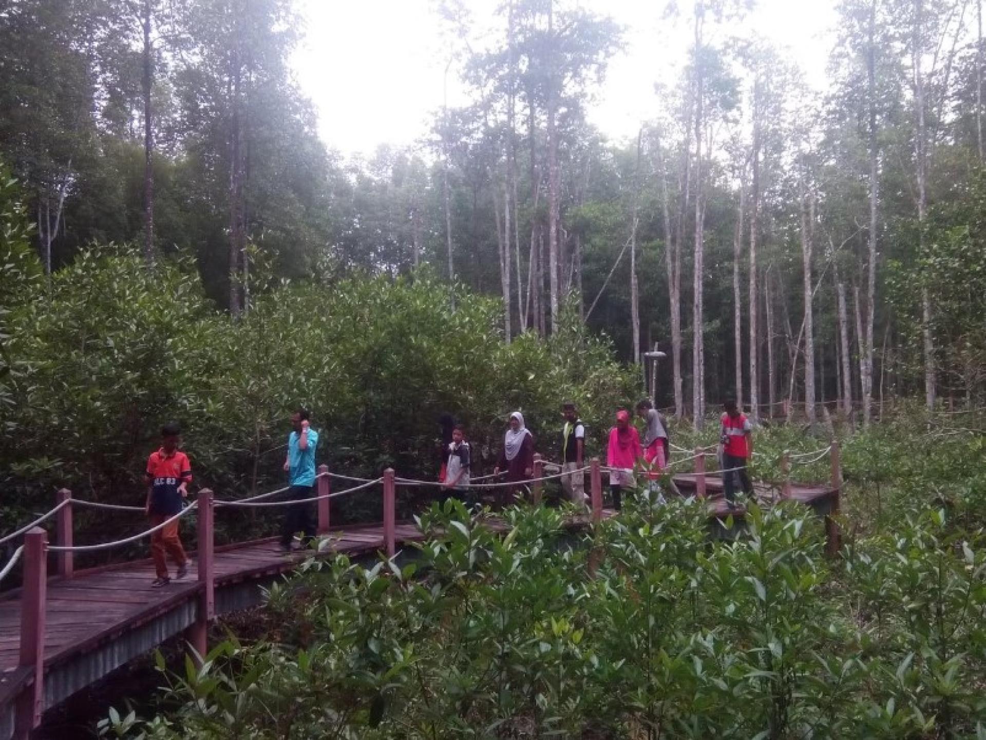 马当红树林保护区风景。