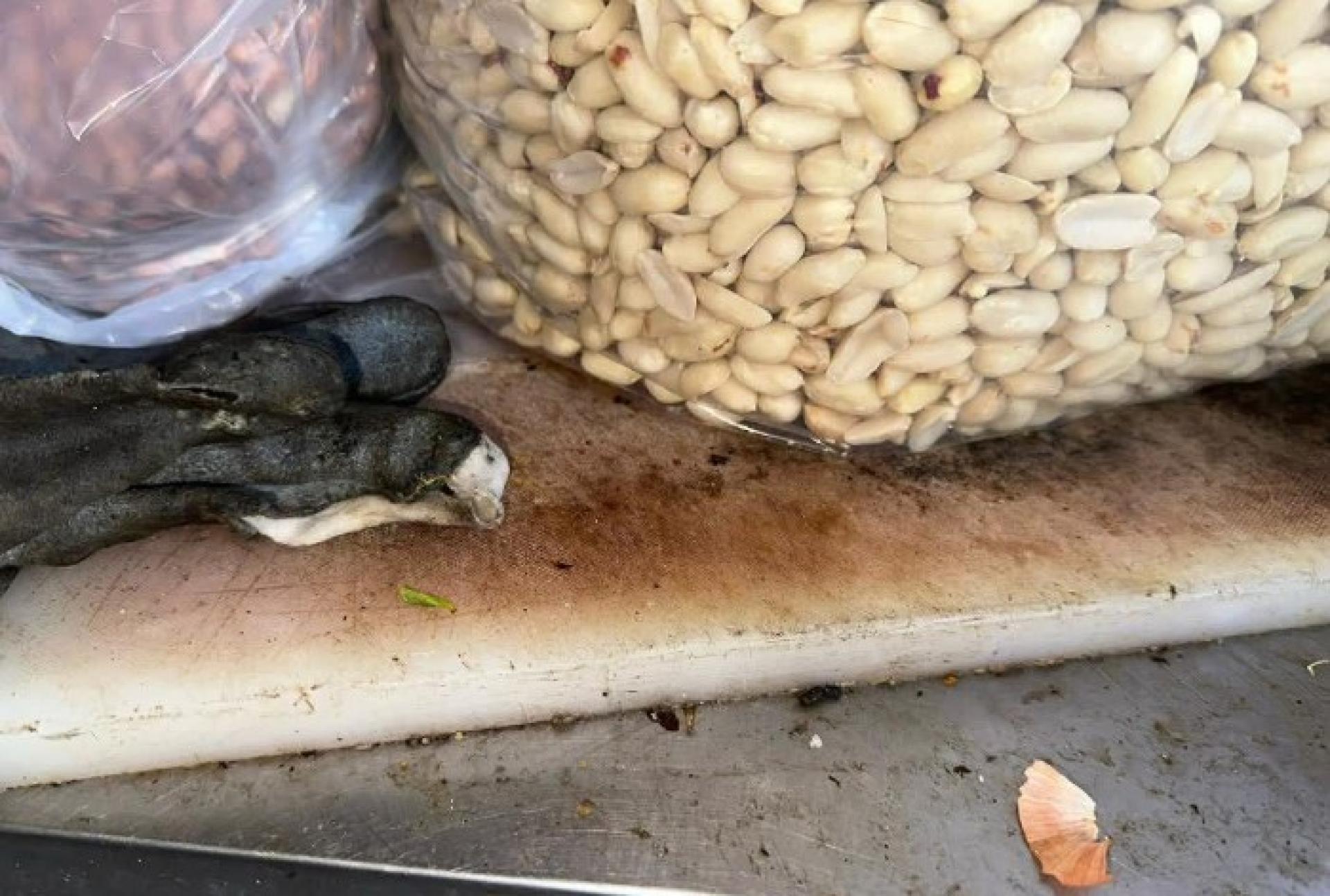 执法人员在该食肆的备餐区发现鼠粪。