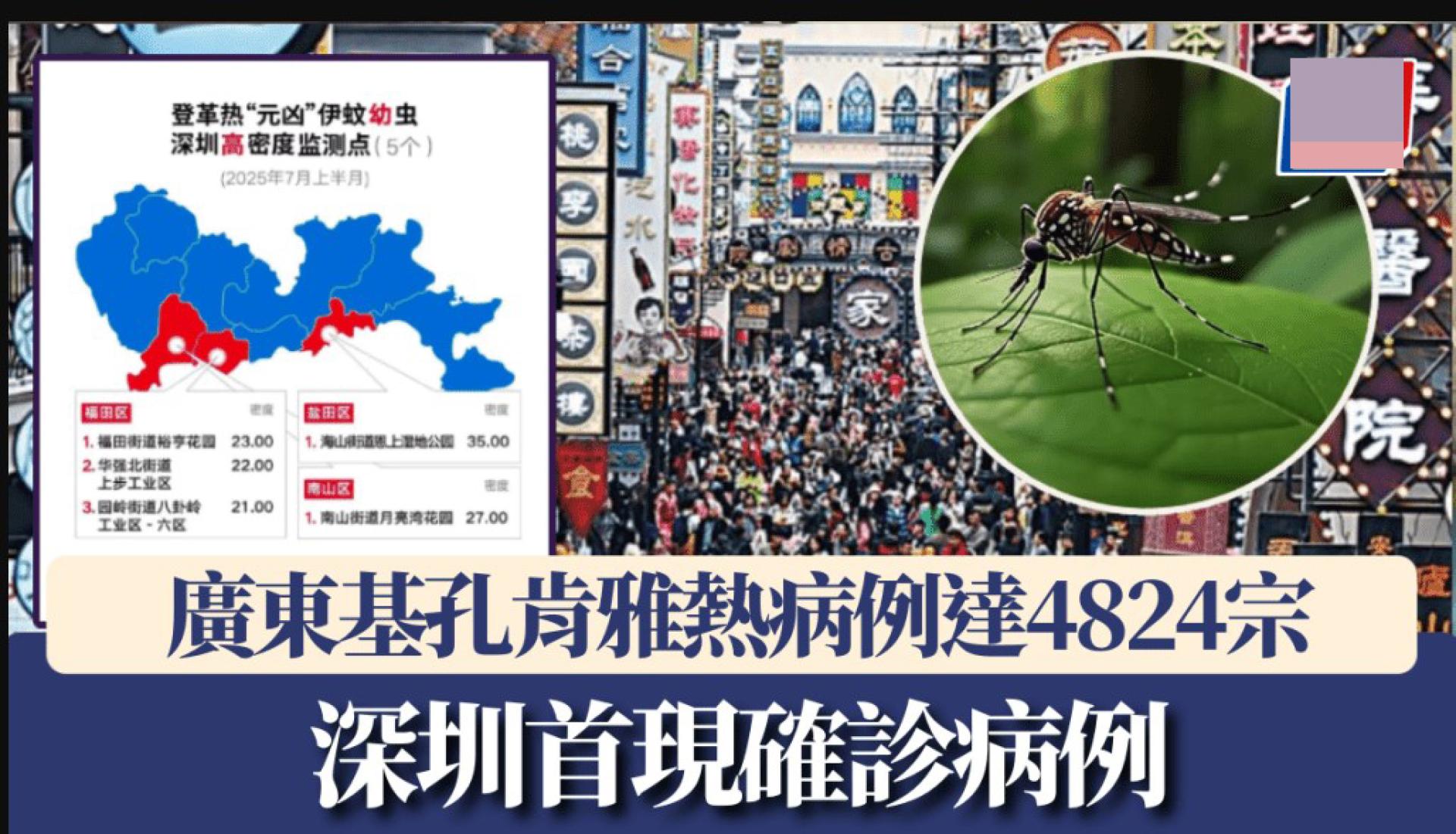 广东基孔肯雅热病例达4824起。
