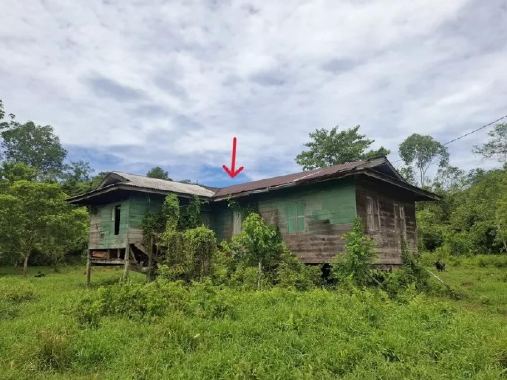 表面看似废弃的木屋，实为加密货币挖矿与电力盗窃的藏身处。