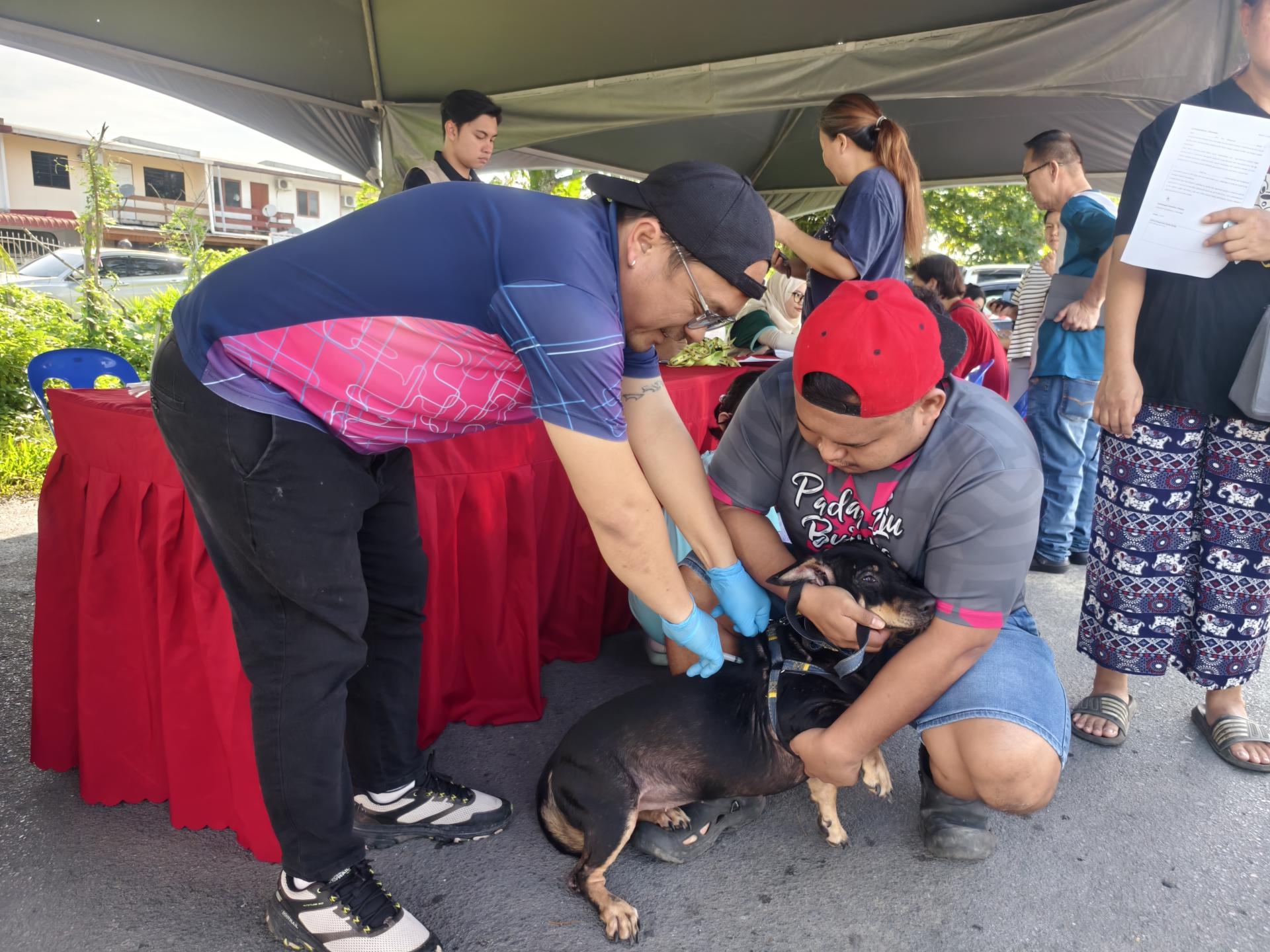 兽医服务局人员为犬只施打狂犬病疫苗。