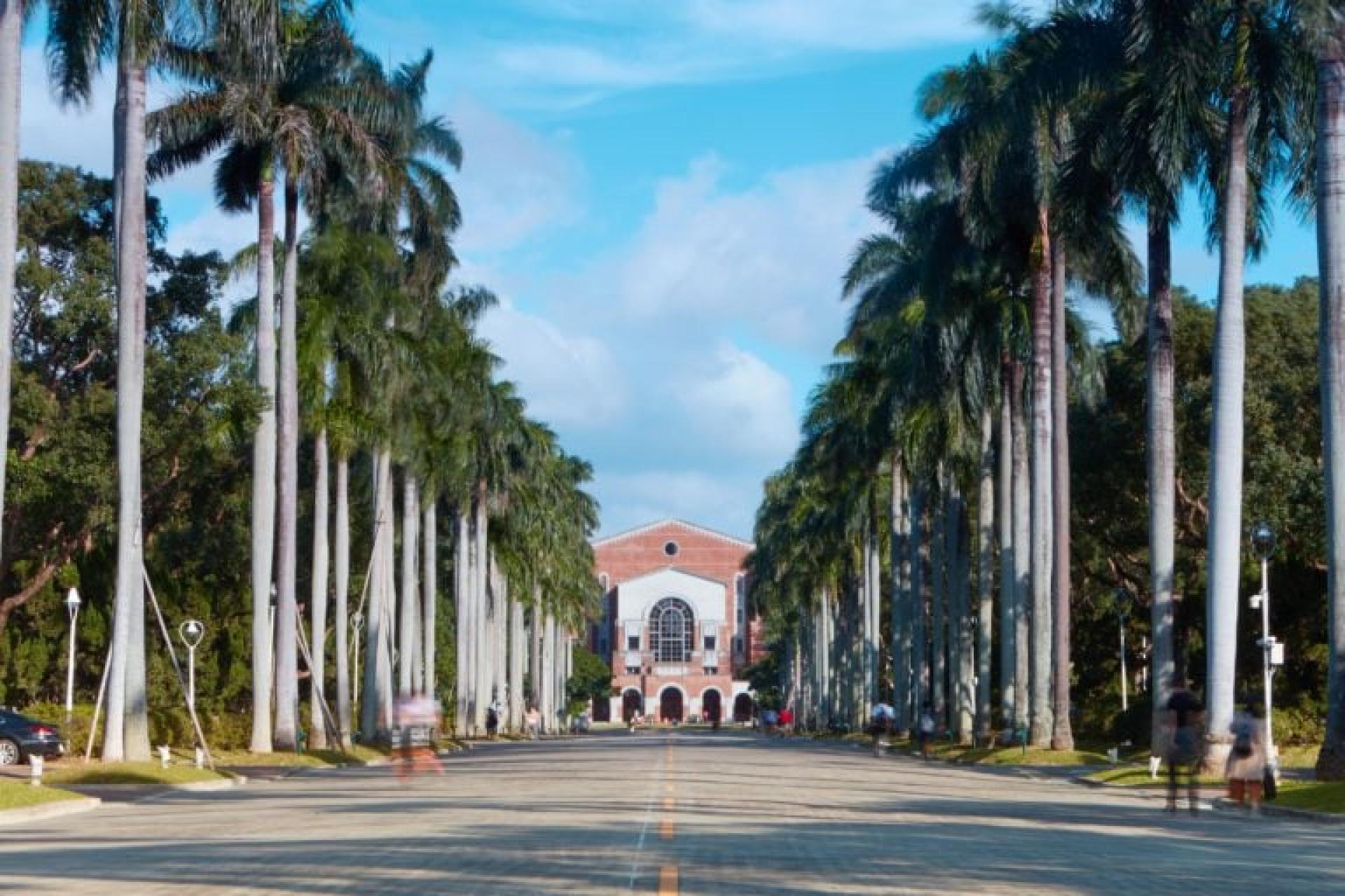 去台湾统计，去年在台就读学位的陆生仅1556人。图为台湾大学。