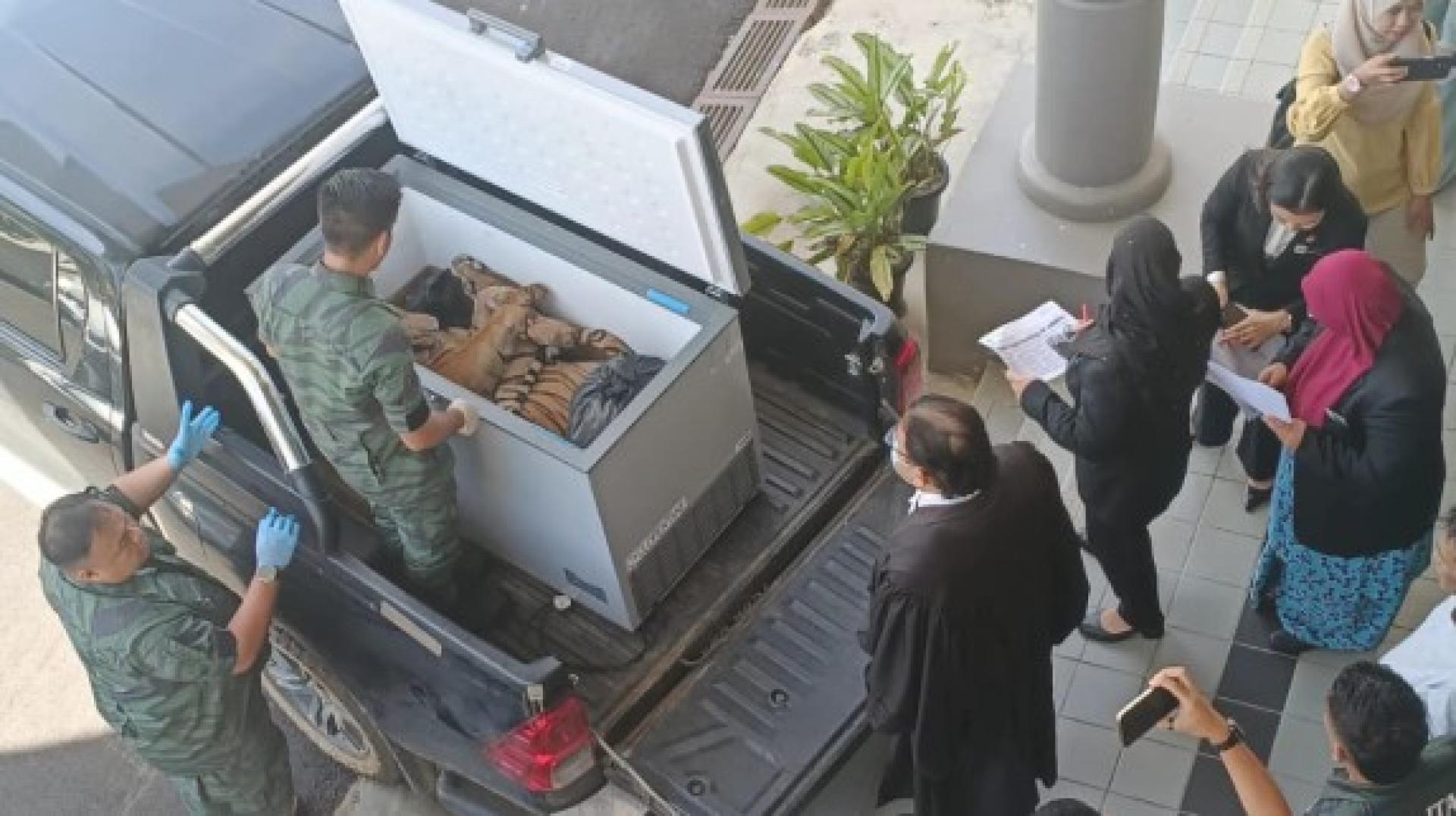 根据控状，3人被控在没有特别许可证的情况下，将死去的雌性老虎存放在一辆休旅车的引擎盖后部。