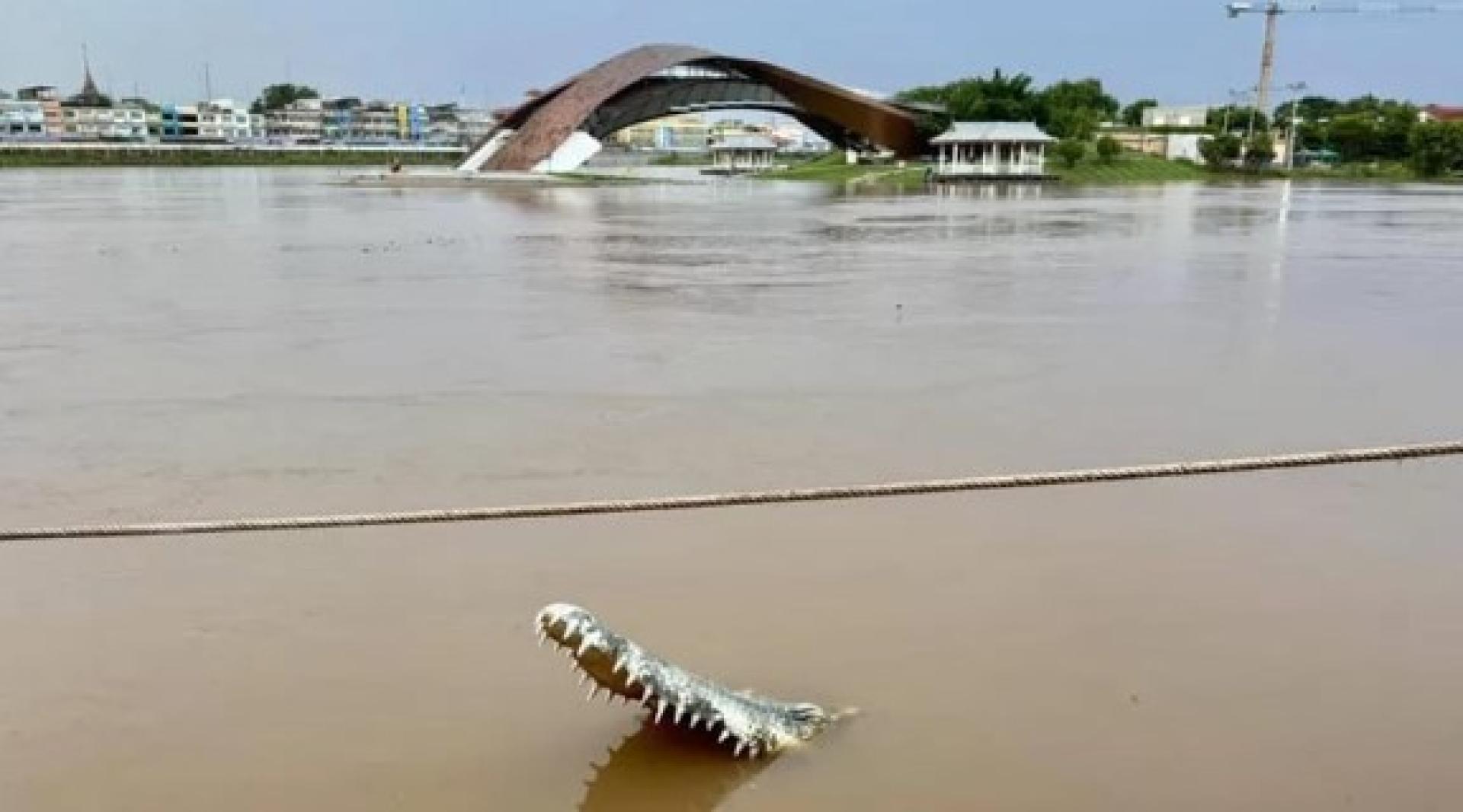 北榄坡府湄南河的水位高涨，鳄鱼雕塑几乎被淹没。