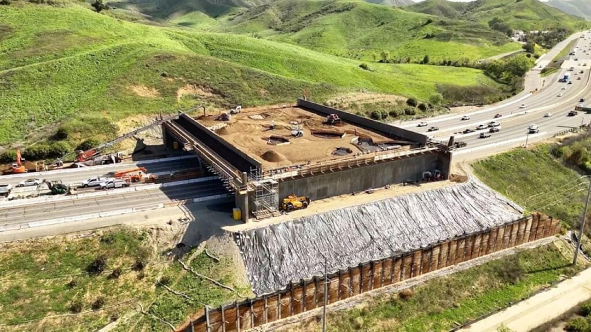 安纳伯格基金会4月公布生态天桥兴建照片。