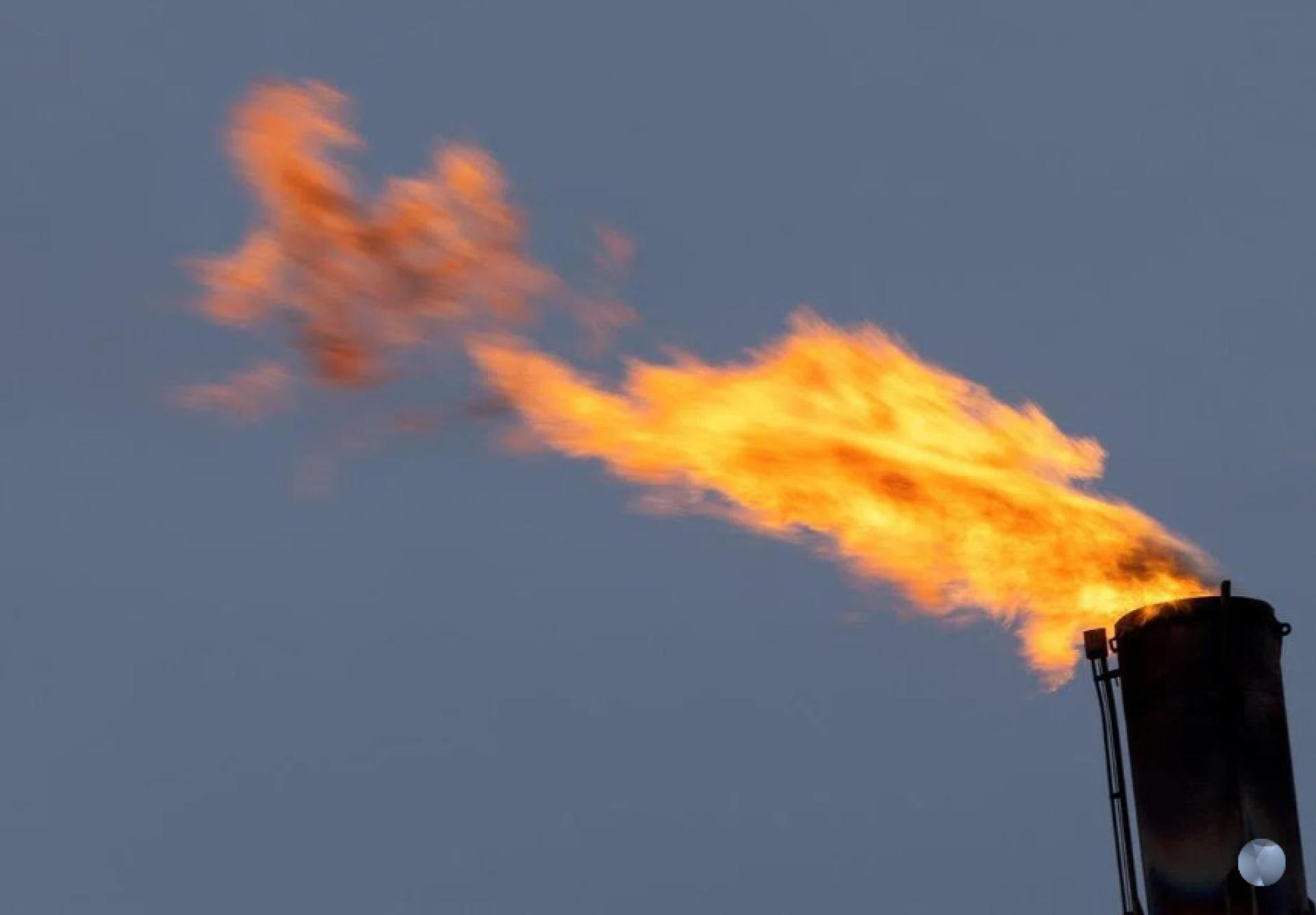 新加坡将试点进口生物甲烷，测试这类可再生燃料在发电和工业应用中的潜力。