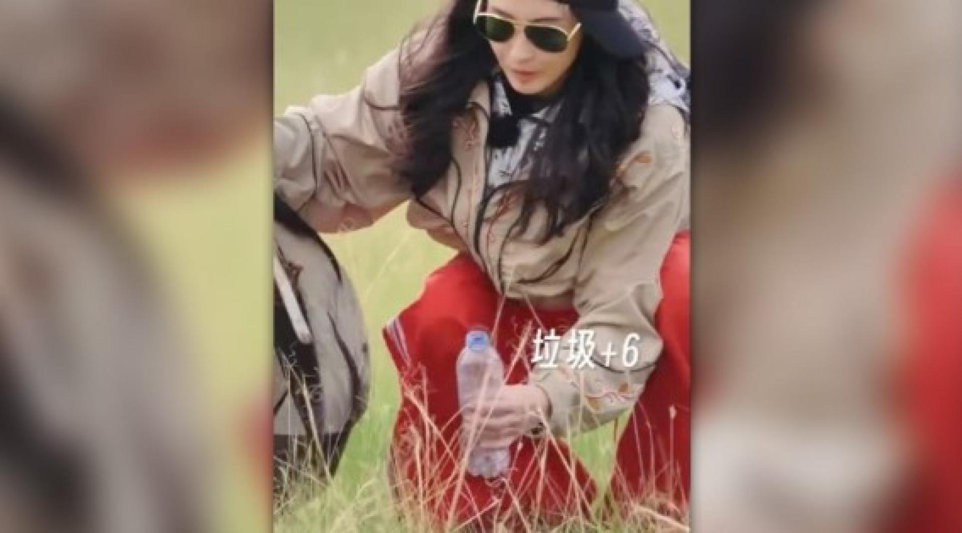 张柏芝到大草原捡垃圾。