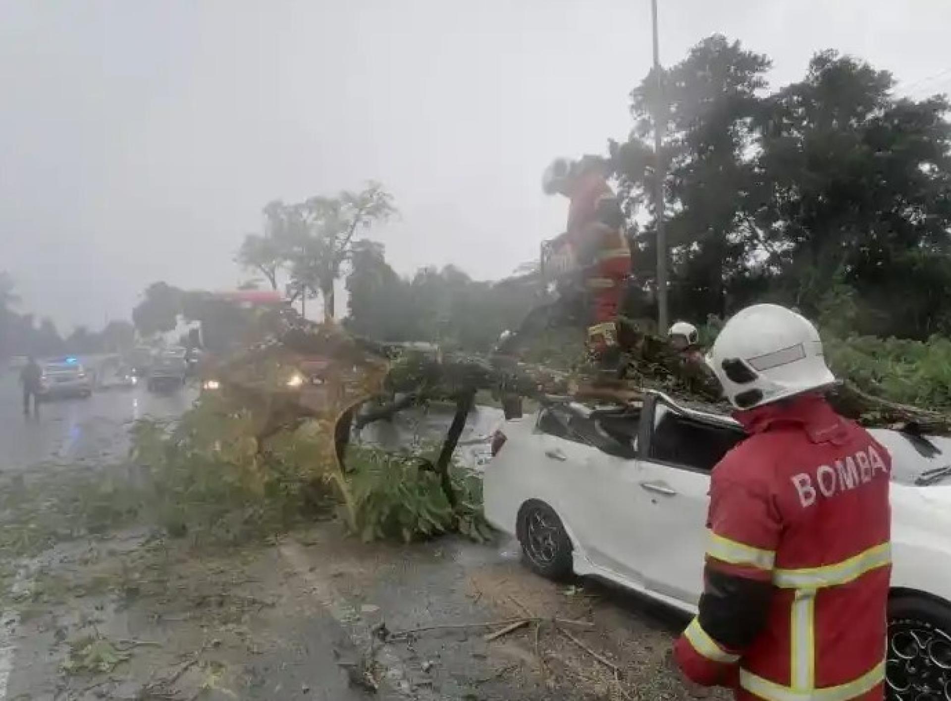 消防员移除压在汽车上的倒树。