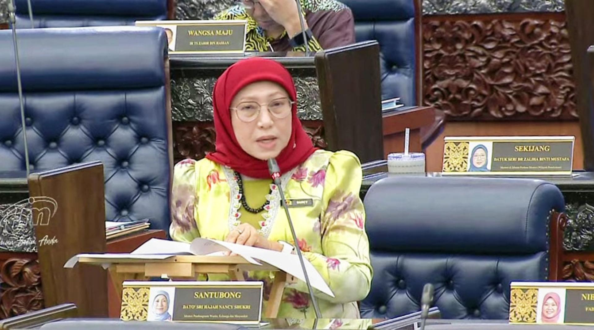 南希：政府将探讨让《社会工作专业法案》涵盖公共领域，而非起初建议的只涵盖私人领域。