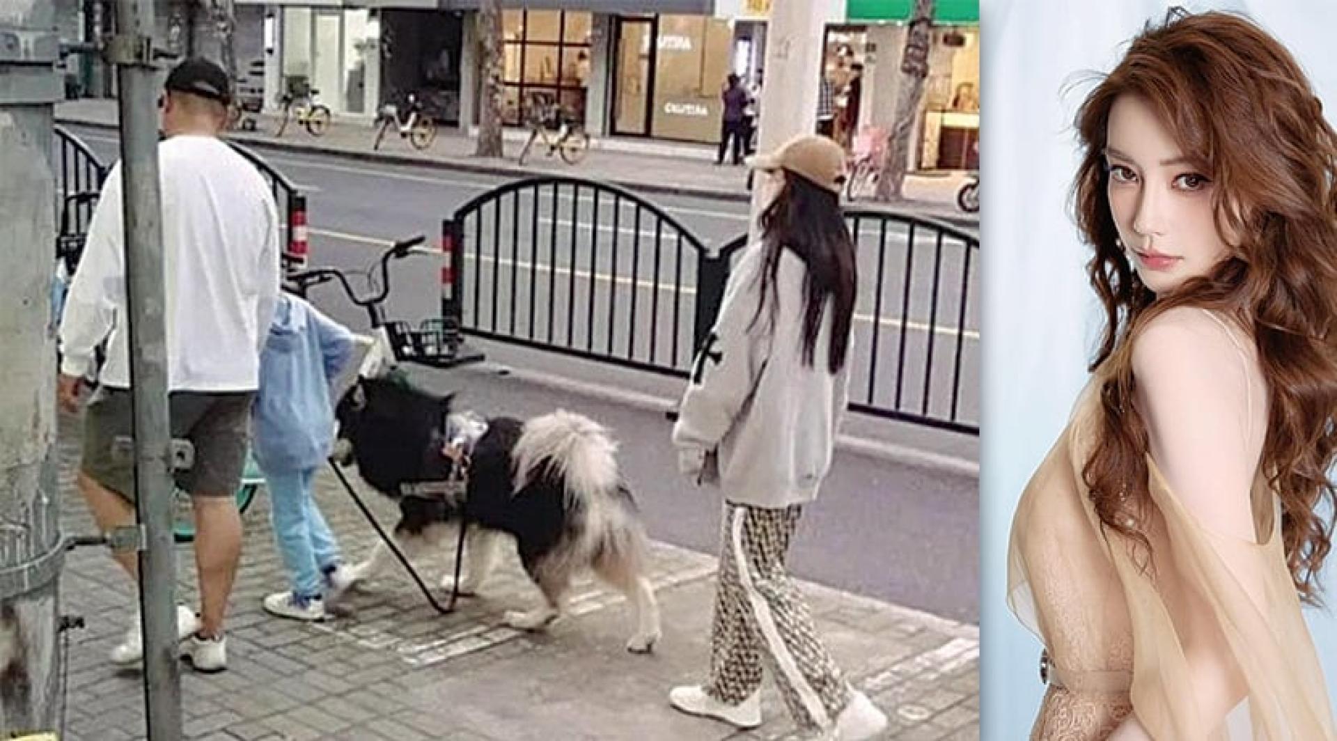 Angelababy被捕捉与大只男放狗。