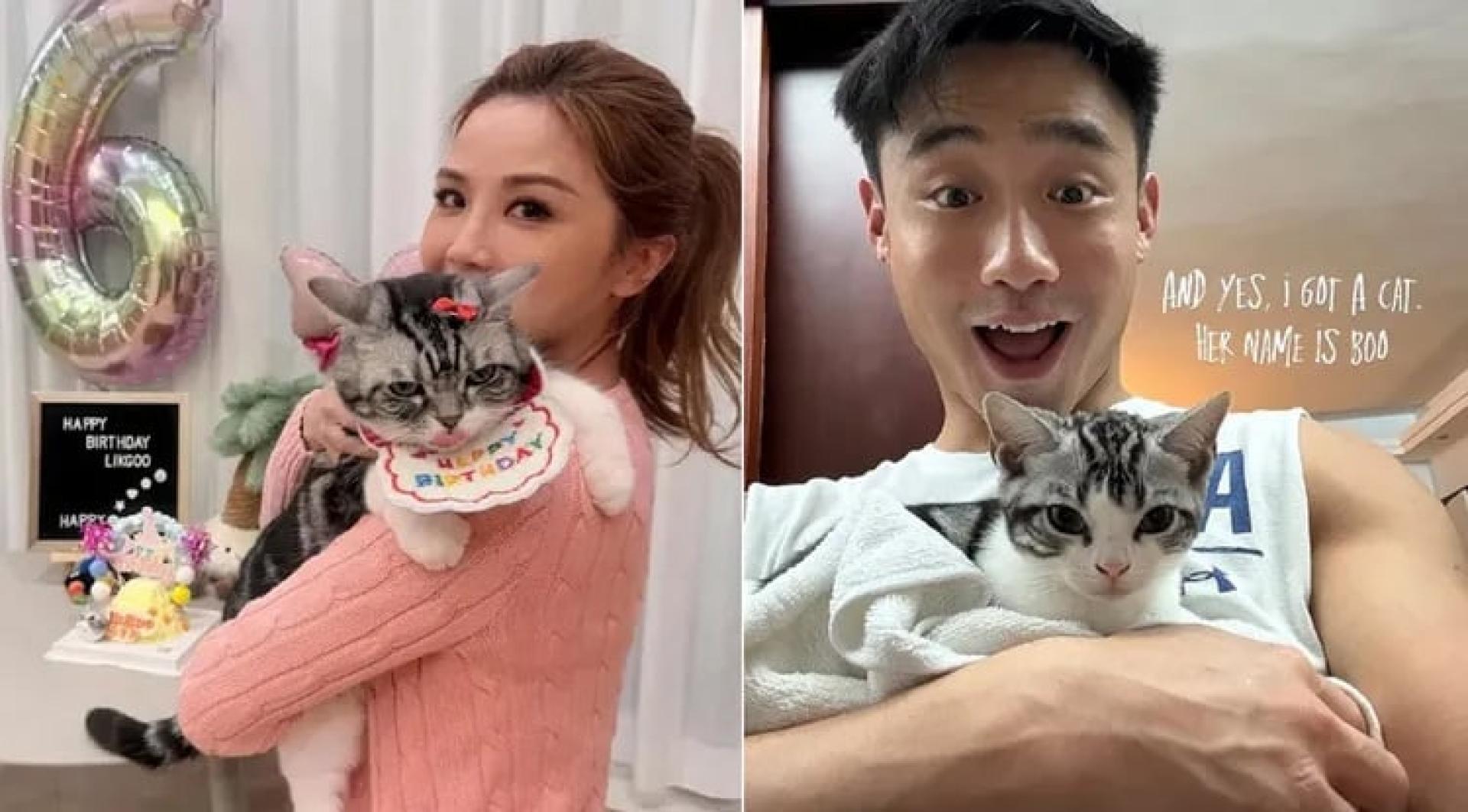 阿Sa与健身教练Elvis一起养猫。