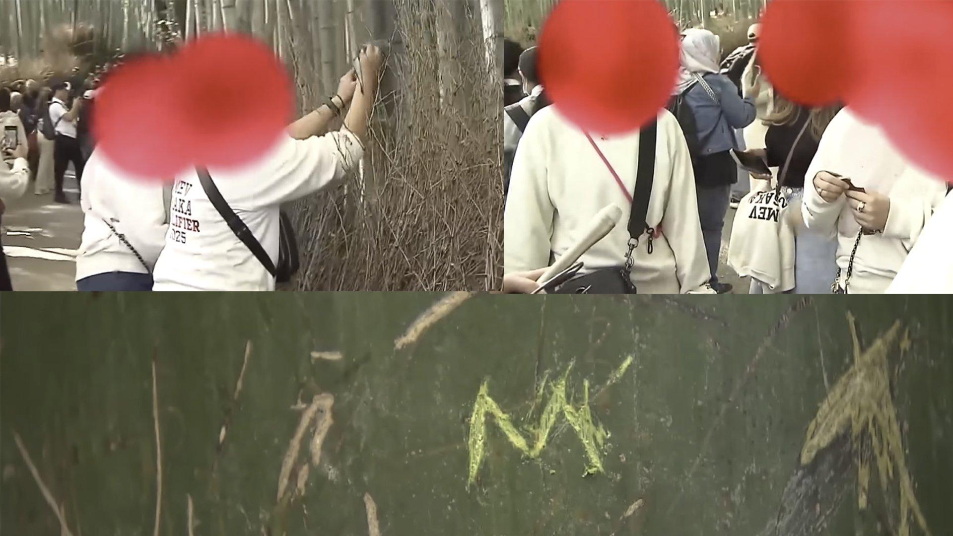 两名大马女游客在竹子上刻字的行为被当地记者全程拍摄下来。