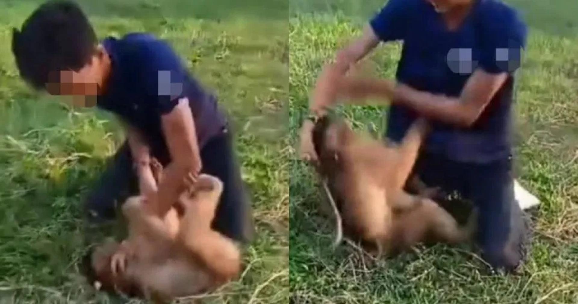 男子涉嫌虐待猕猴的视频，在社交媒体上疯传。