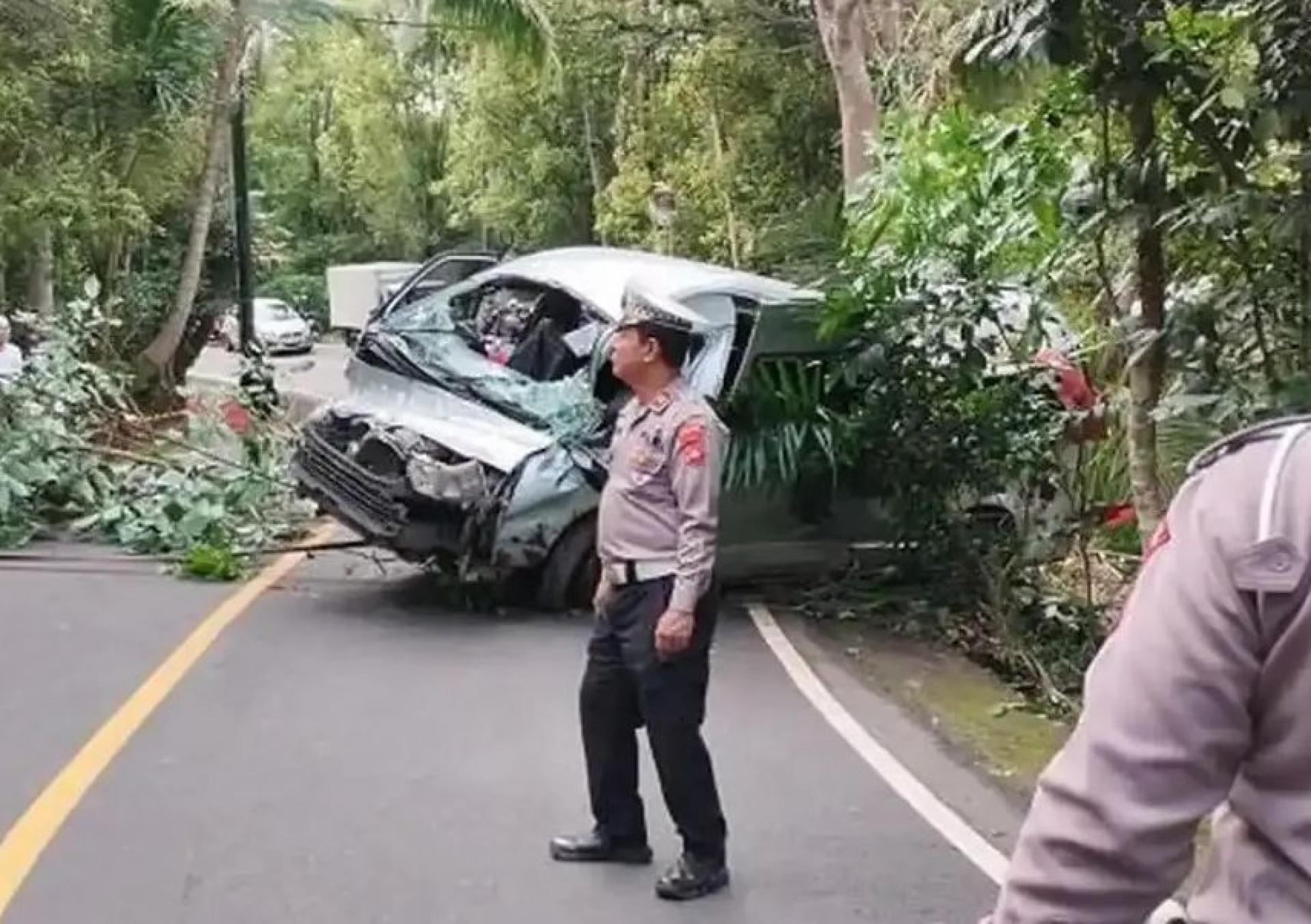 小巴下坡失控撞树。（网络图）