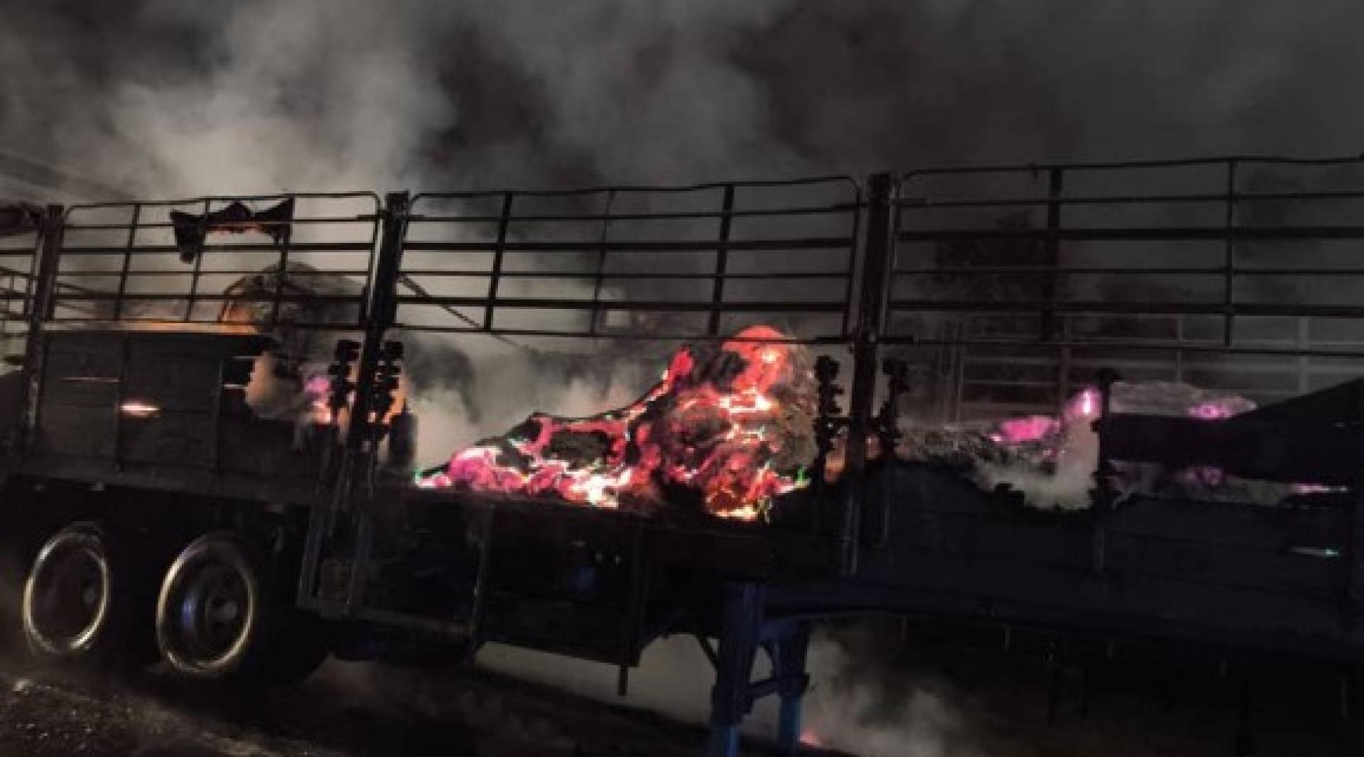 罗里80%的面积烧毁。