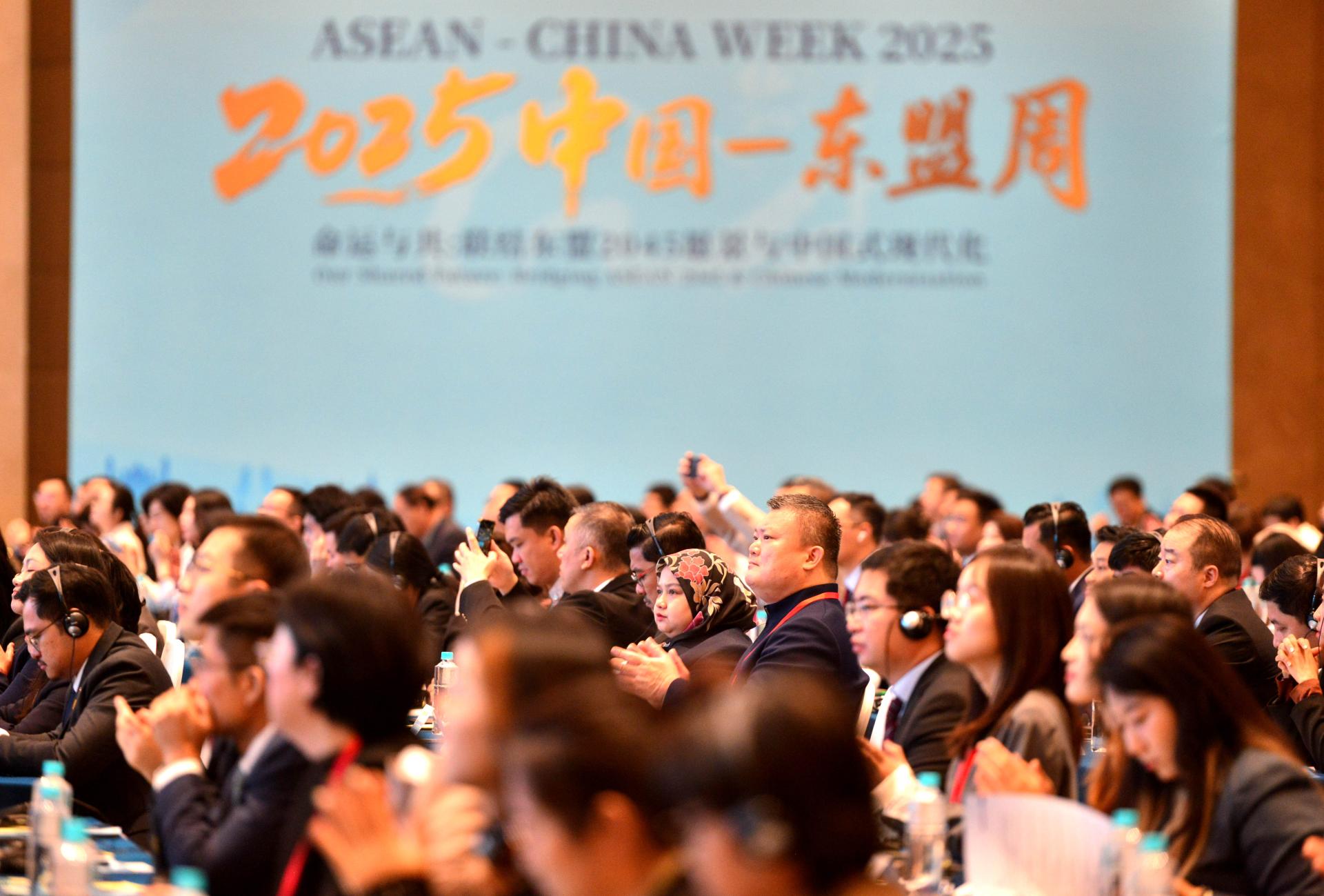 11月17日，2025中国东盟周在福州开幕，来自中国与东盟国家的各界代表齐聚榕城，深化务实合作、共话发展愿景。