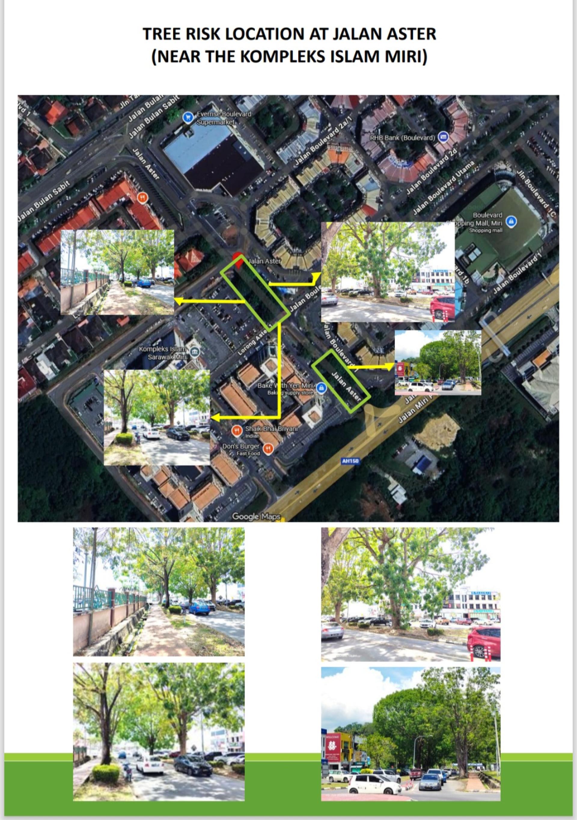 美里市政局将于2025年11月20日在位于美里伊斯兰综合大厦附近的Aster路展开树木修剪工程，呼吁道路使用者注意安全。