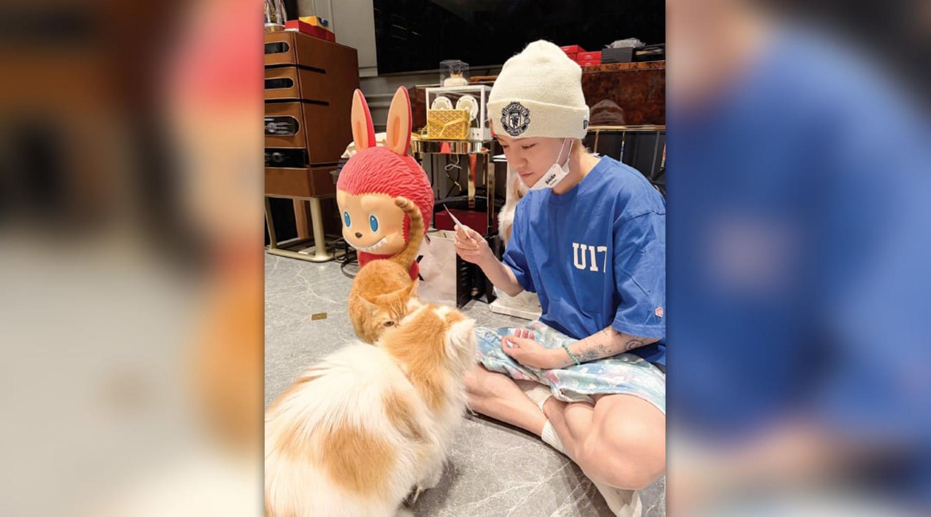 鹿晗分享在家中的照片。