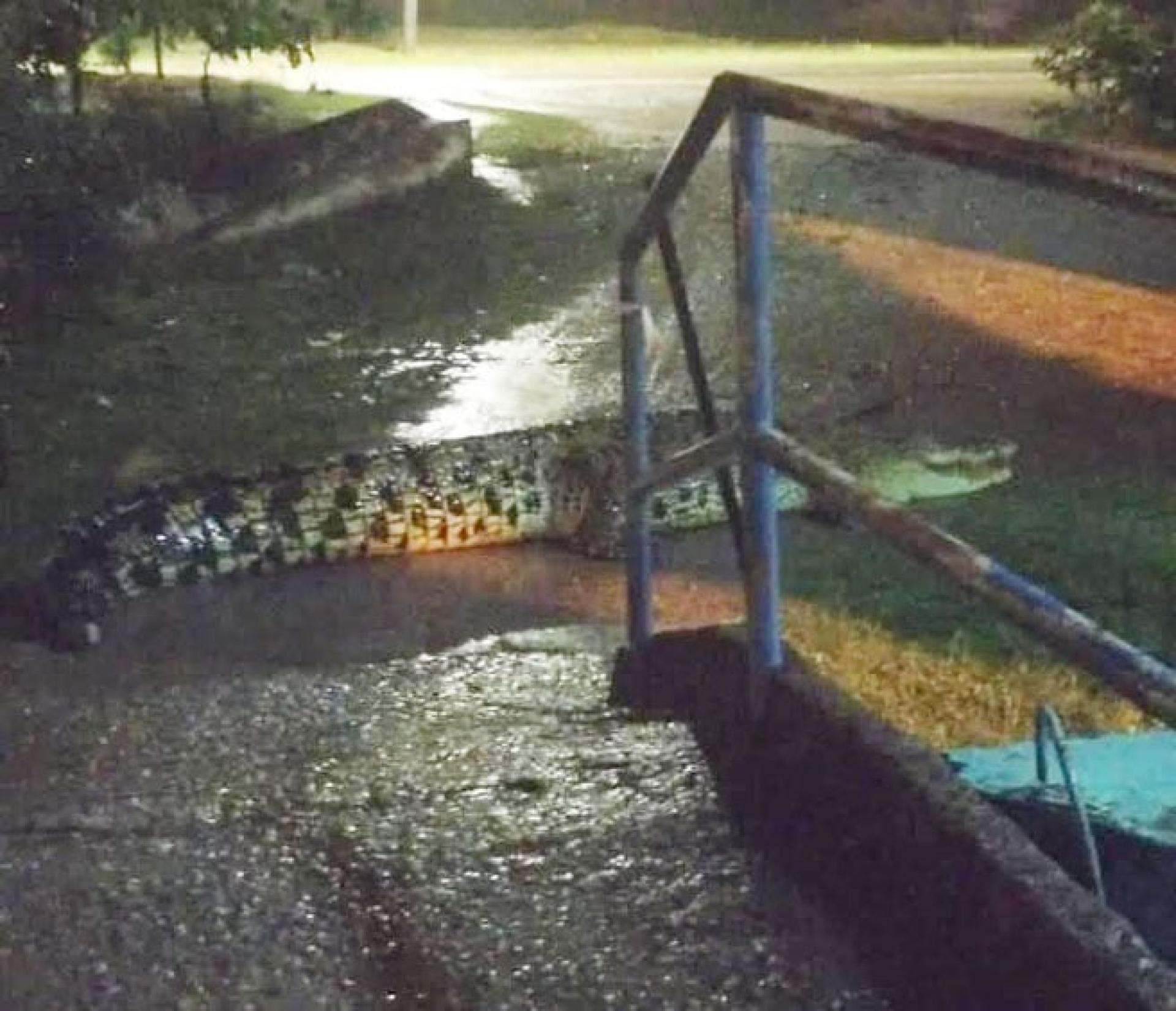 茜蒂与丈夫在雨中骑车回家，不料在路上遭巨鳄拦路，慌乱中拍下照片。