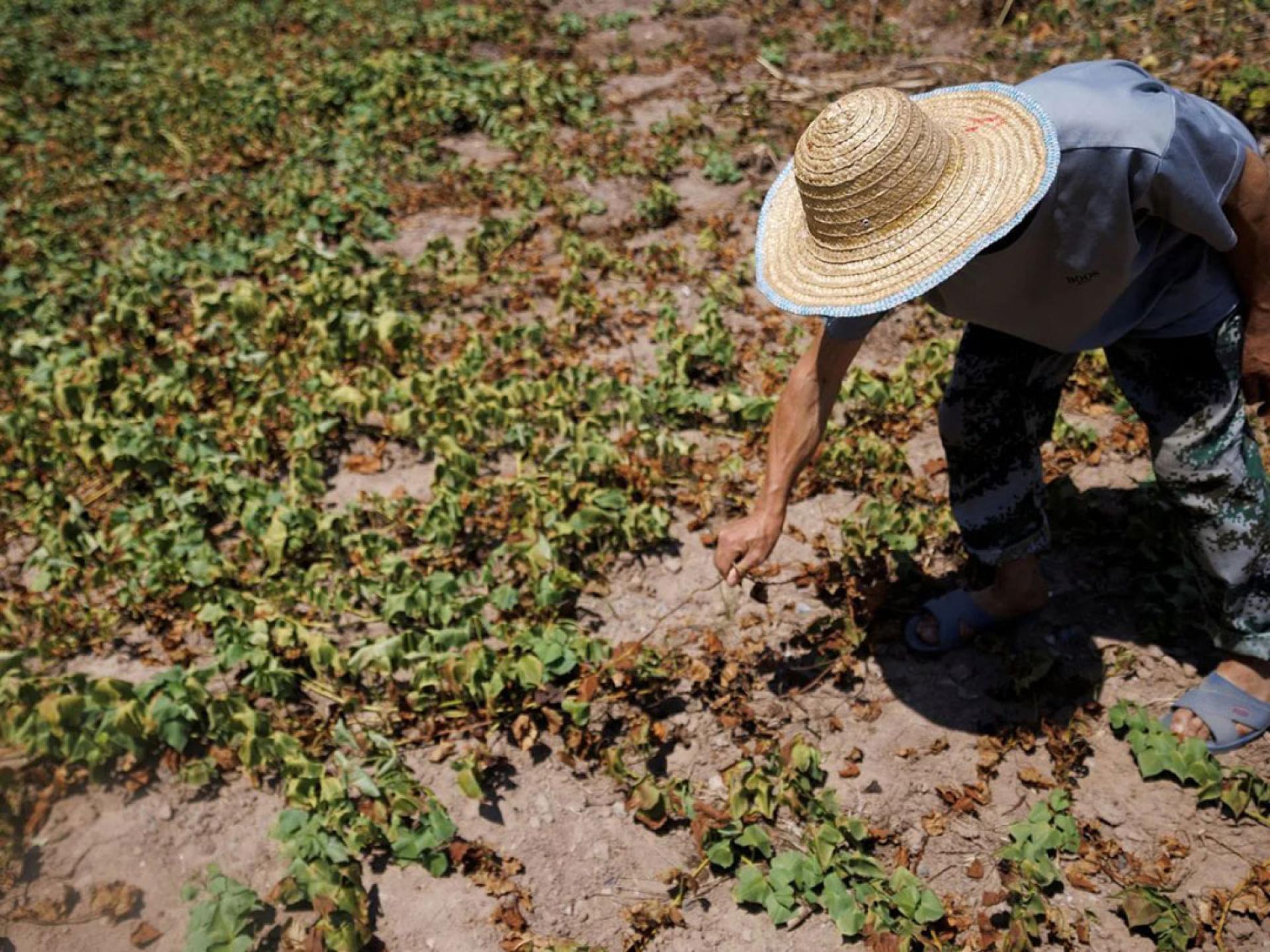 中国南方多地相对湿度降至30%以下，部分城市甚至低于20%。