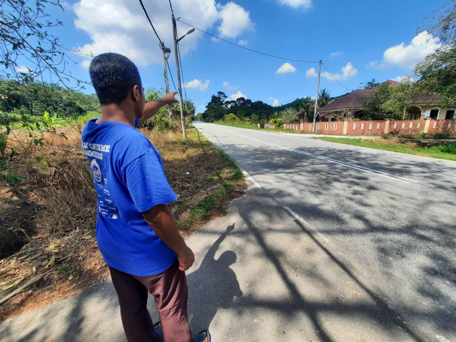 阿里亚撒指有人目击一只老虎穿过道路后，进入棕榈园。（取自Kosmo！）