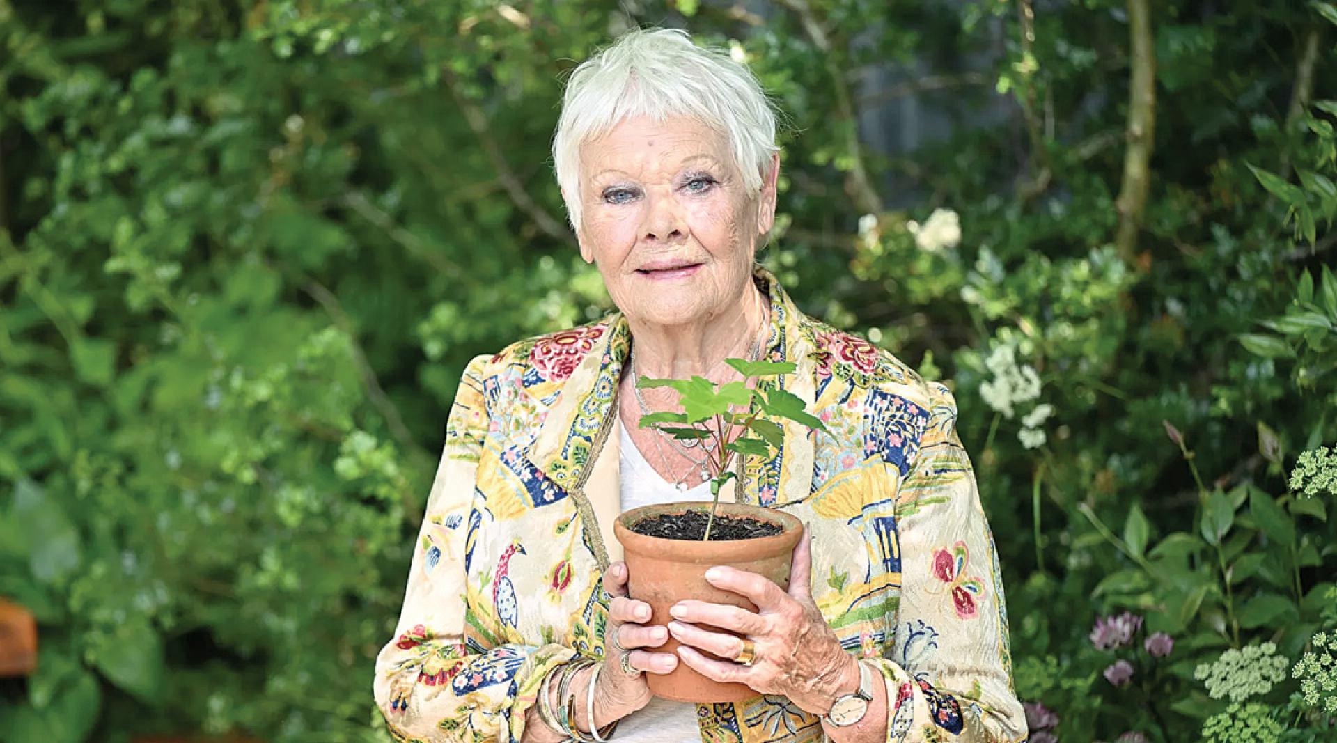 茱迪丹兹承认自己眼疾日益恶化。