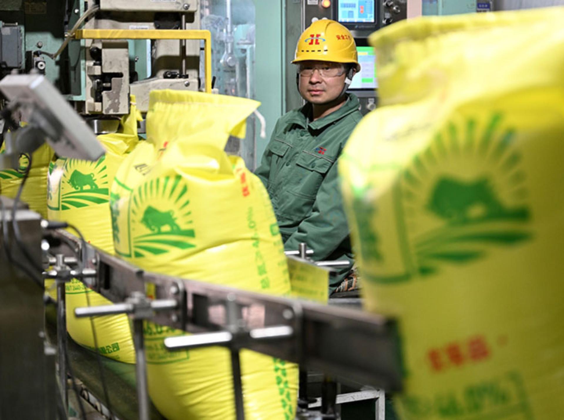 今年1月至10月，中国对巴西化肥出口总量达976万吨，约占巴西化肥进口总量的25%。