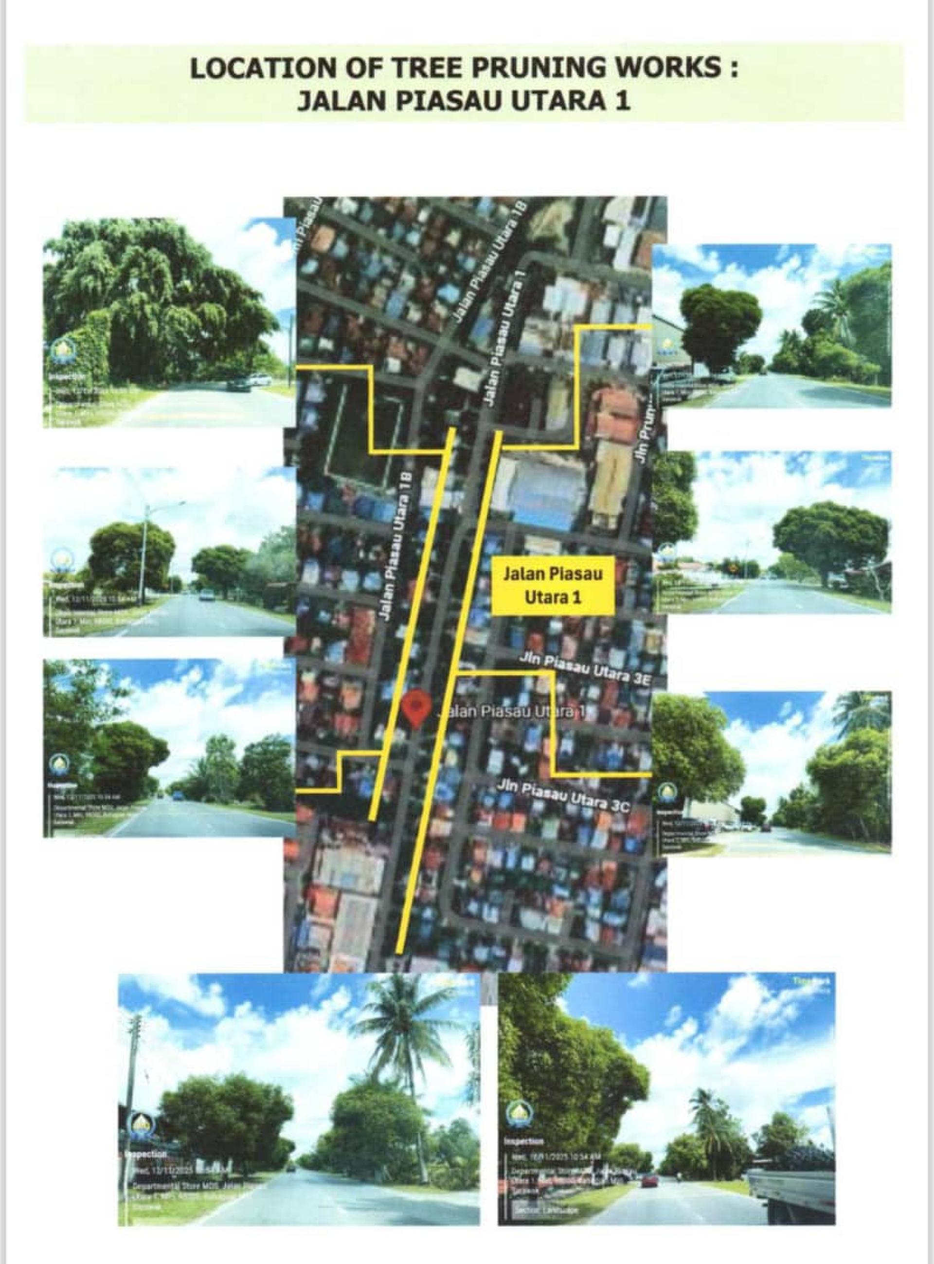 卑尔骚北路1巷树木修剪地点。