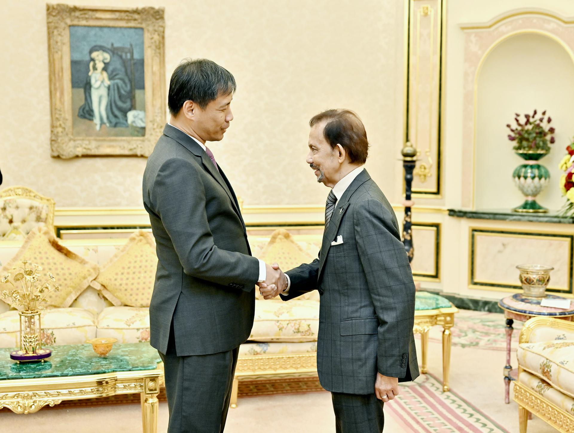 苏丹与马绍峰亲切握手