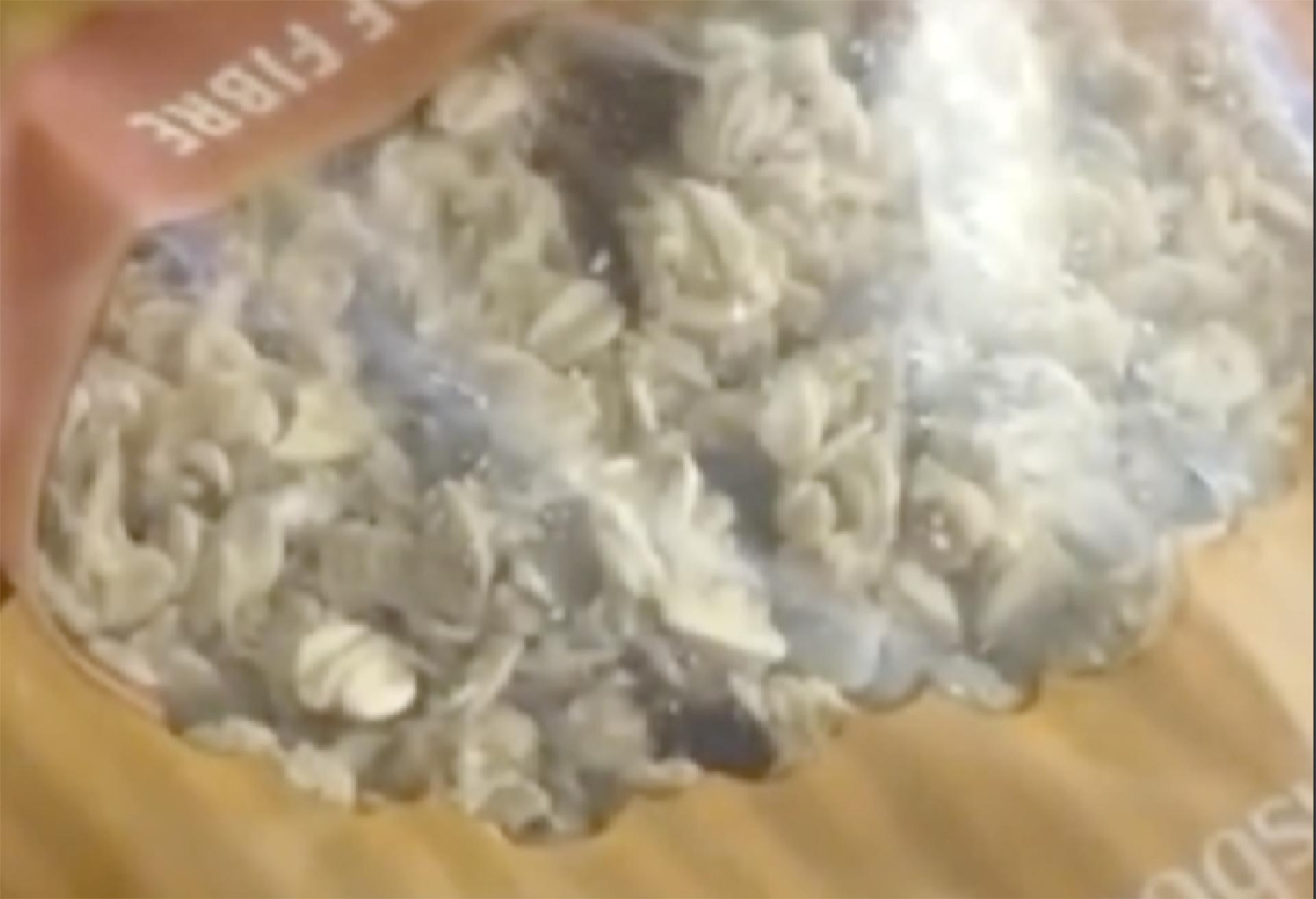 这名女子透过包装透明部分可看到里面的麦片在蠕动，而且还传出啃咬的声音。