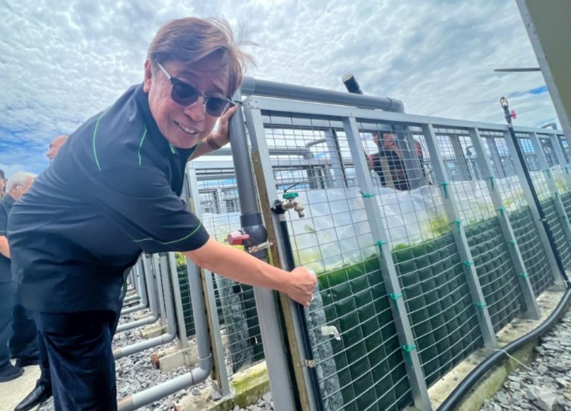 2023年5月10日，阿邦佐哈里在古晋实仁甲发电厂（甘榜 Goeblit，巴哥路）向记者展示所培育的藻类。