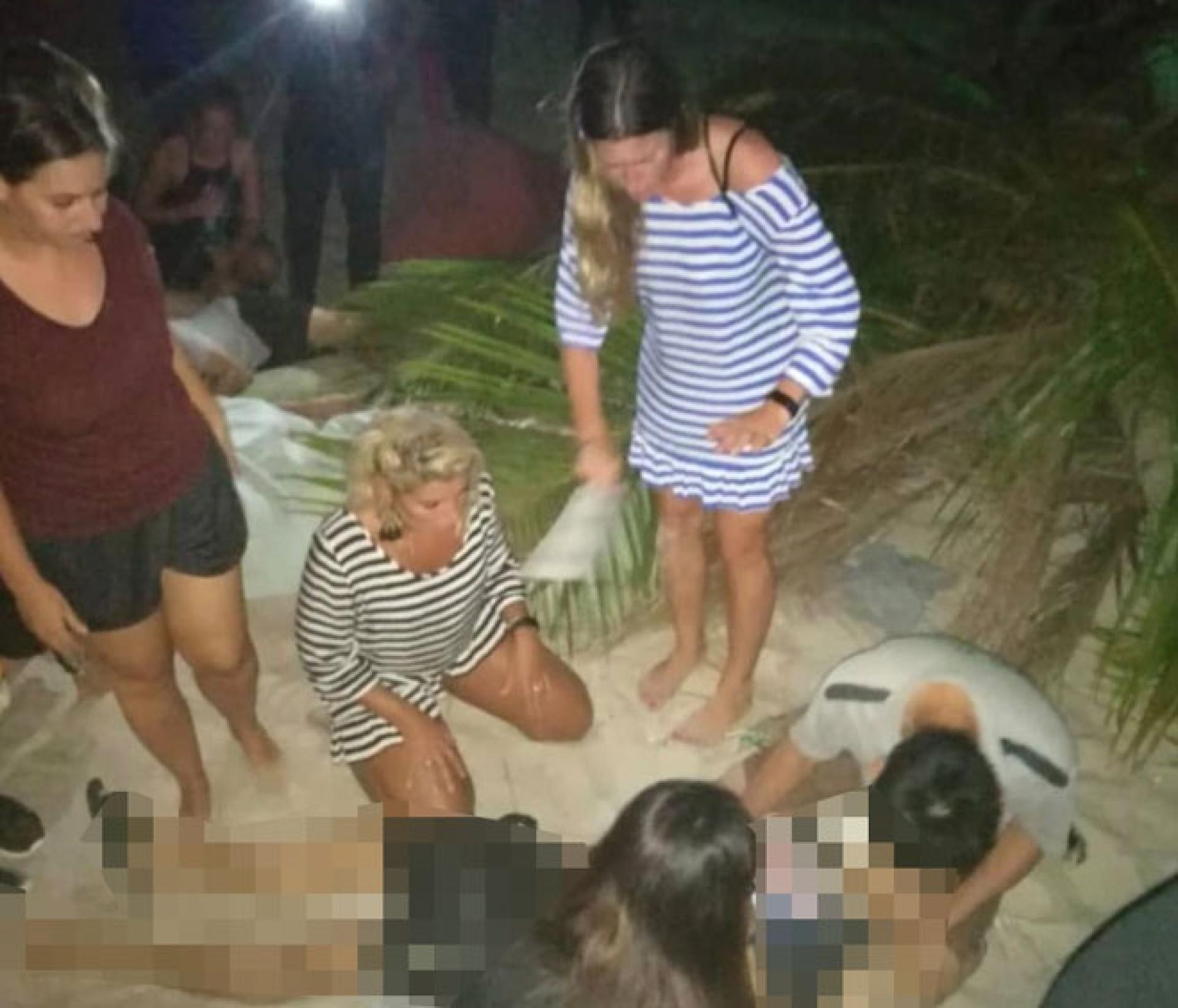 2019年真浪海滩发生椰树倒下事故，酿成1死2伤悲剧。（档案照）