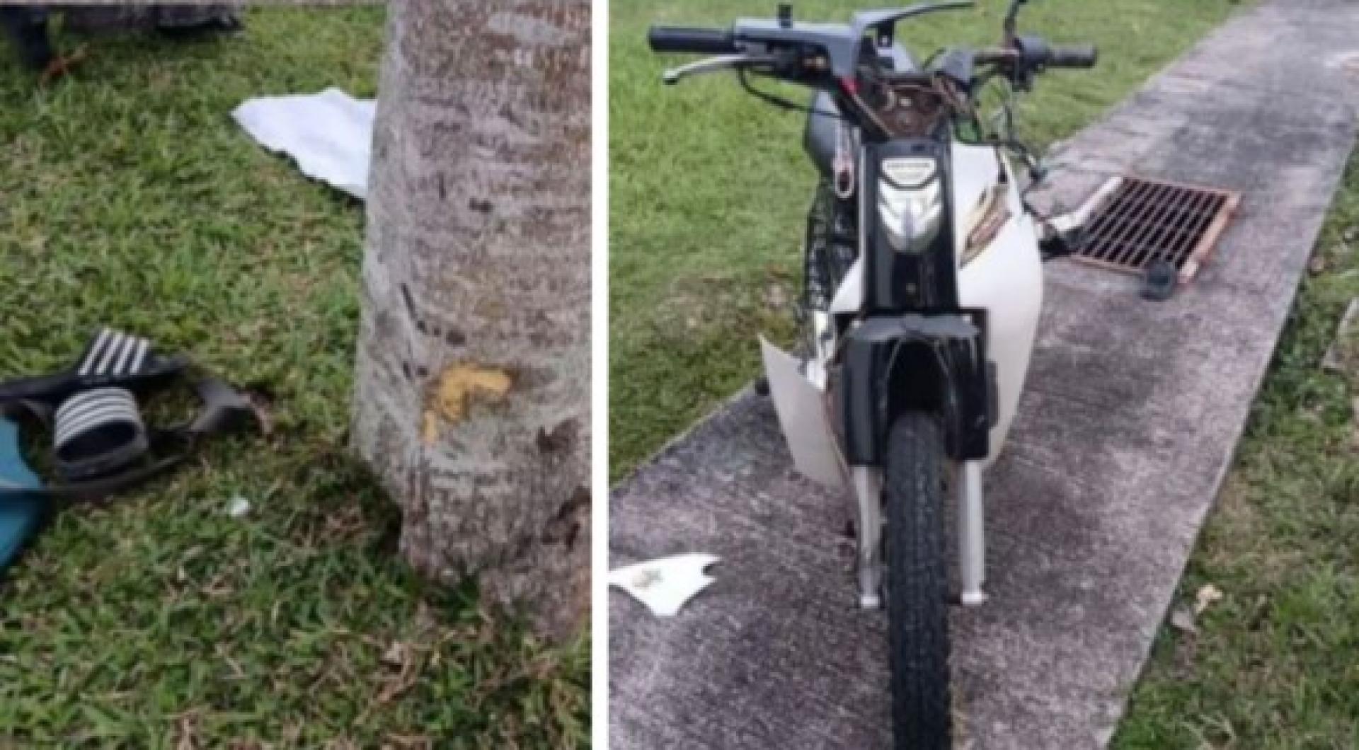 13岁少女骑摩托撞树造成2死1伤悲剧。