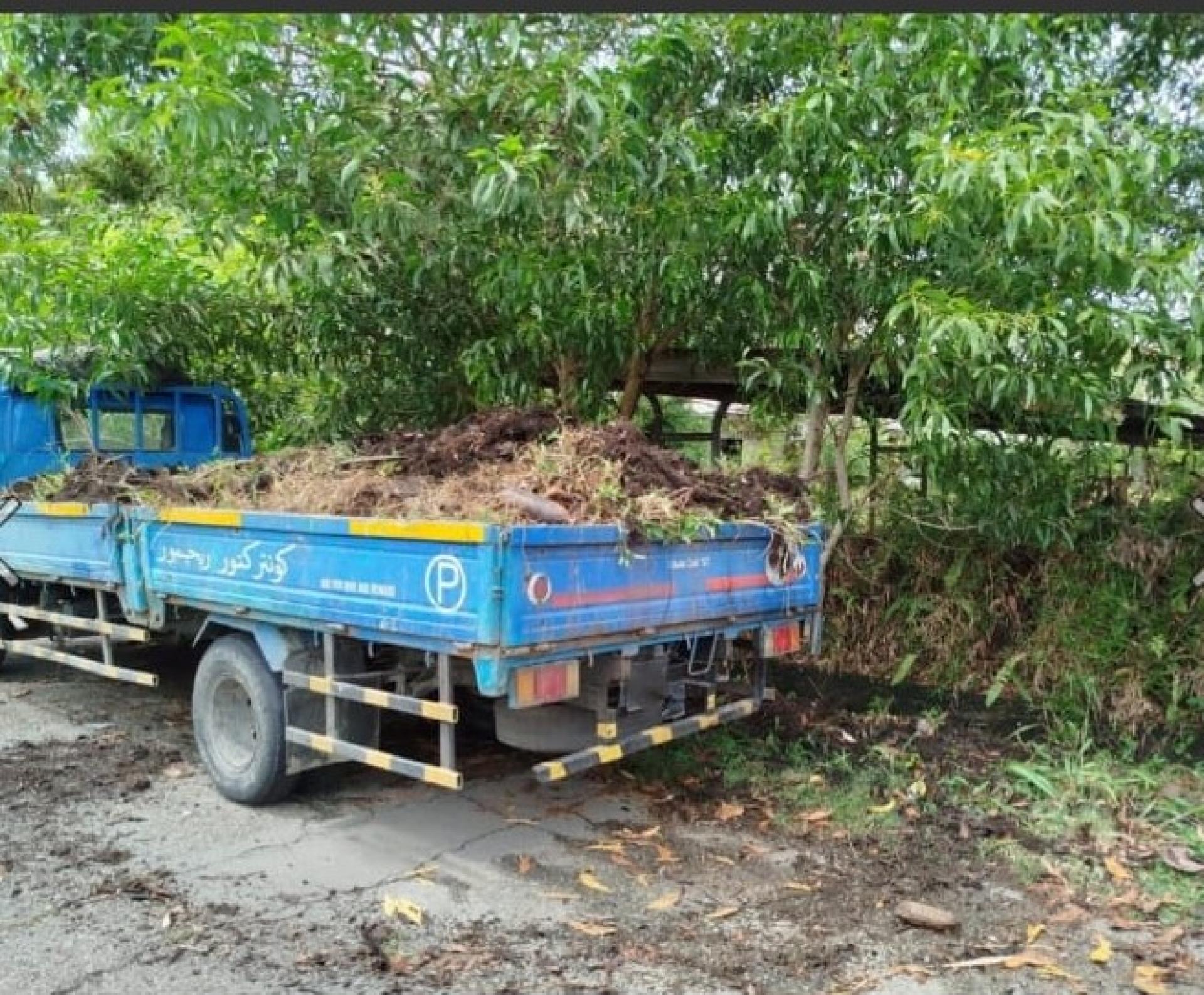 违规者乱丢垃圾