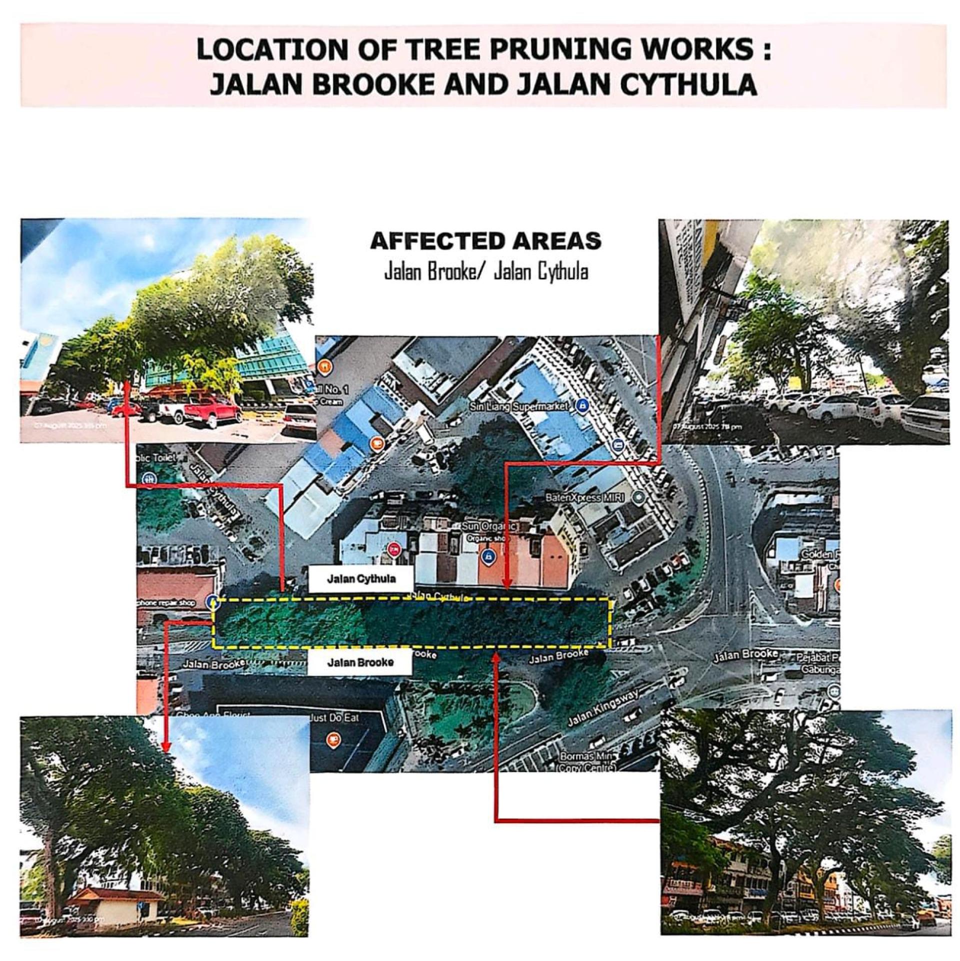 美里市区布鲁克路及赛图拉路沿线将于本月20日至22日及27日至28日展开树木修剪工程。
