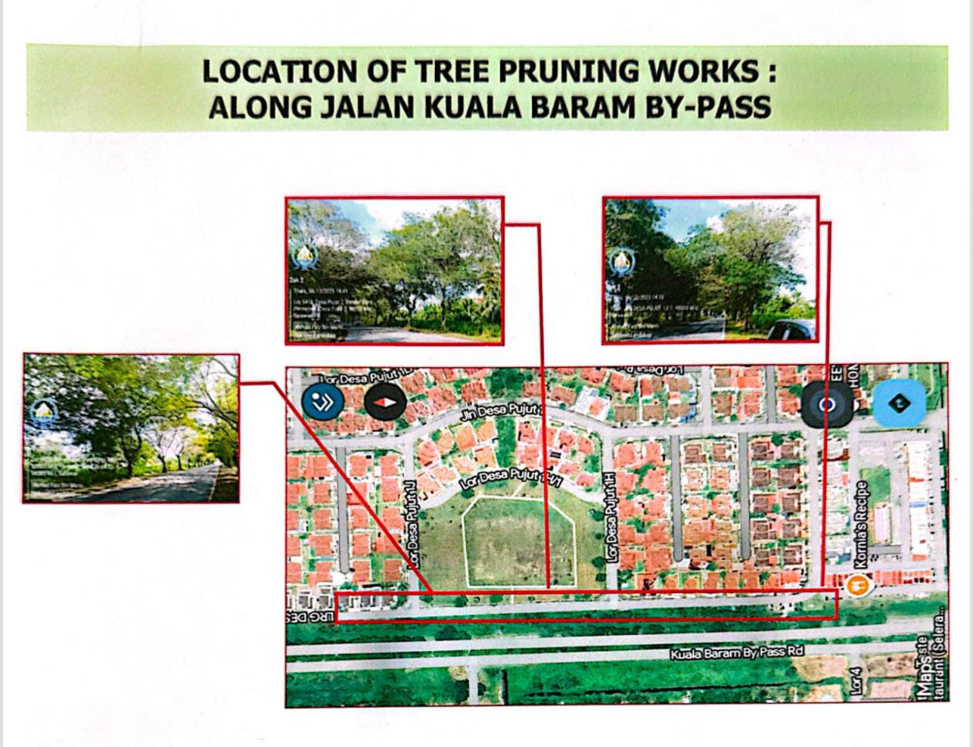美里市政局将于本月19日至31日，在瓜拉巴南捷道沿线展开树木修剪工程。