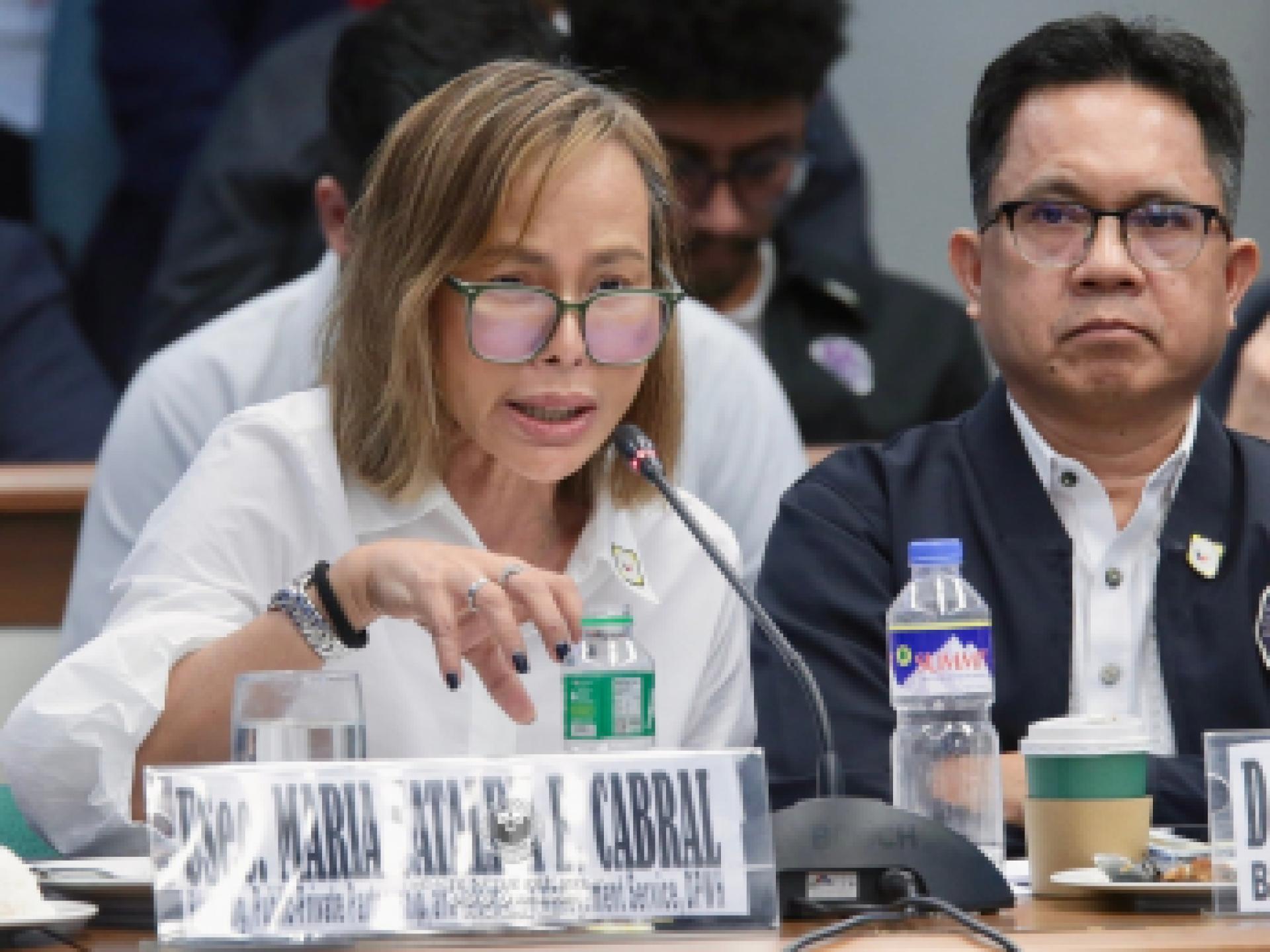 前公共工程与公路部副部长玛丽亚卡塔利娜卡布拉尔（档案照）。