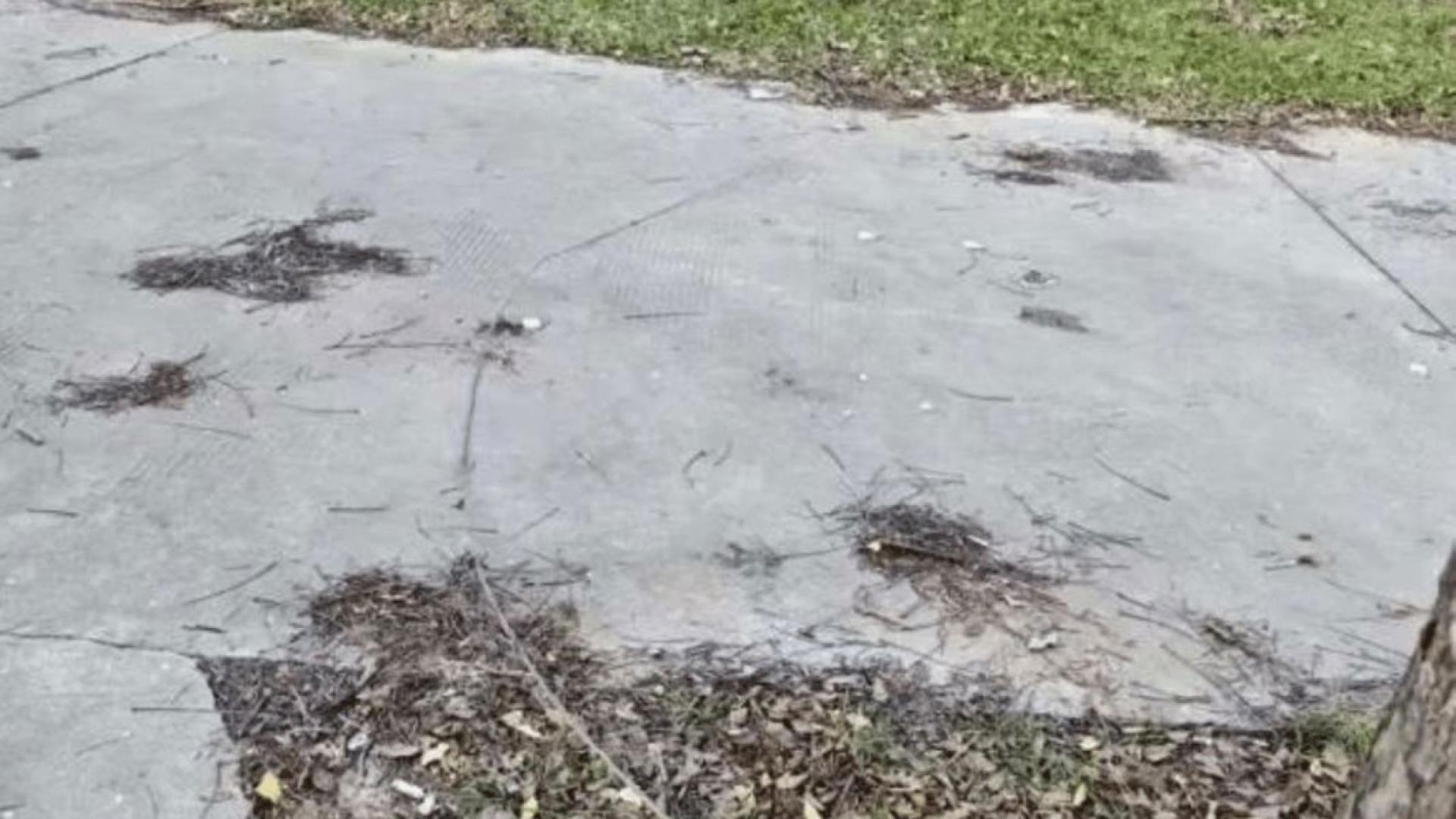 在案发现场一带发现铁丝。