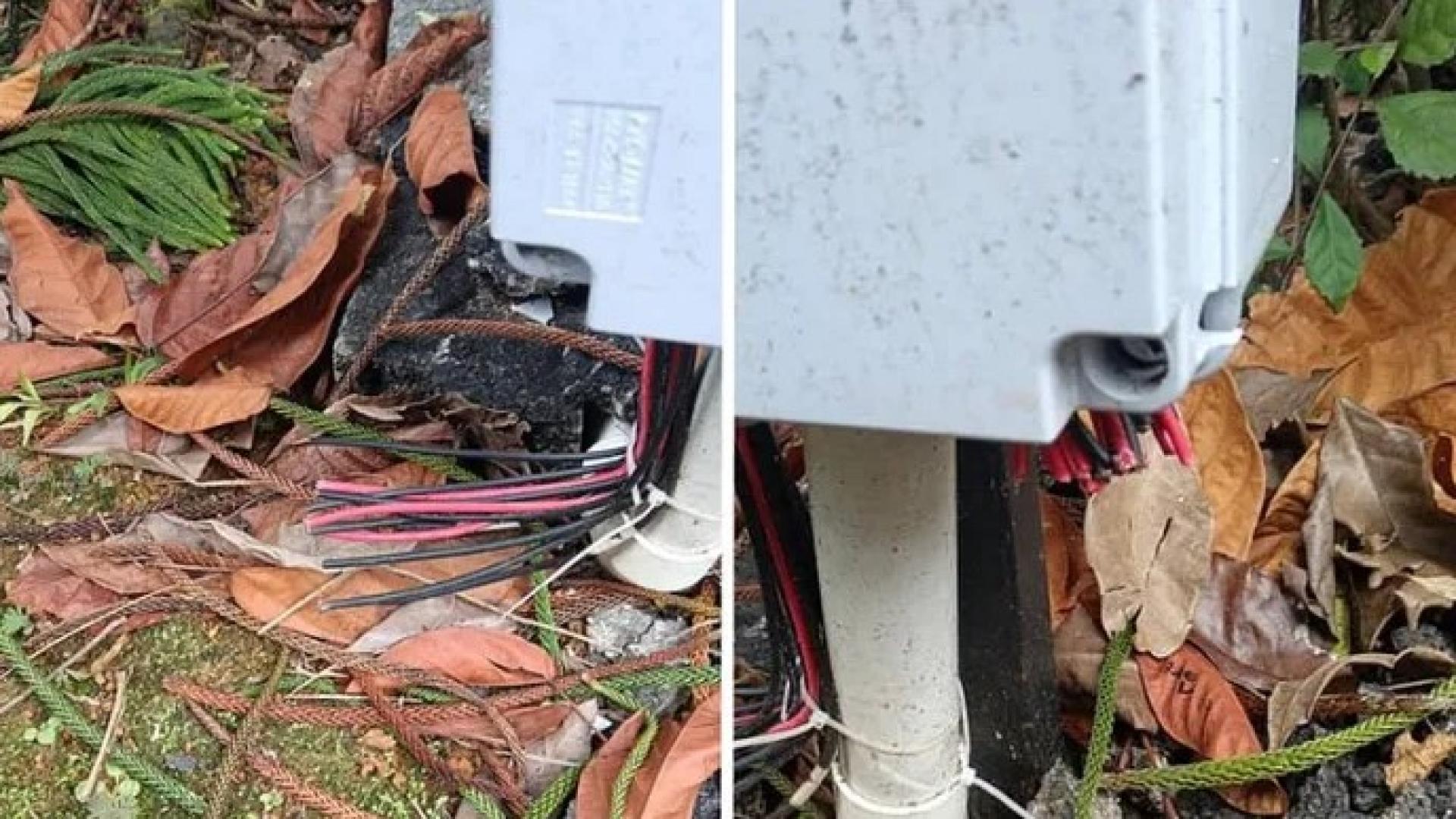 被切断并盗走的主电线。