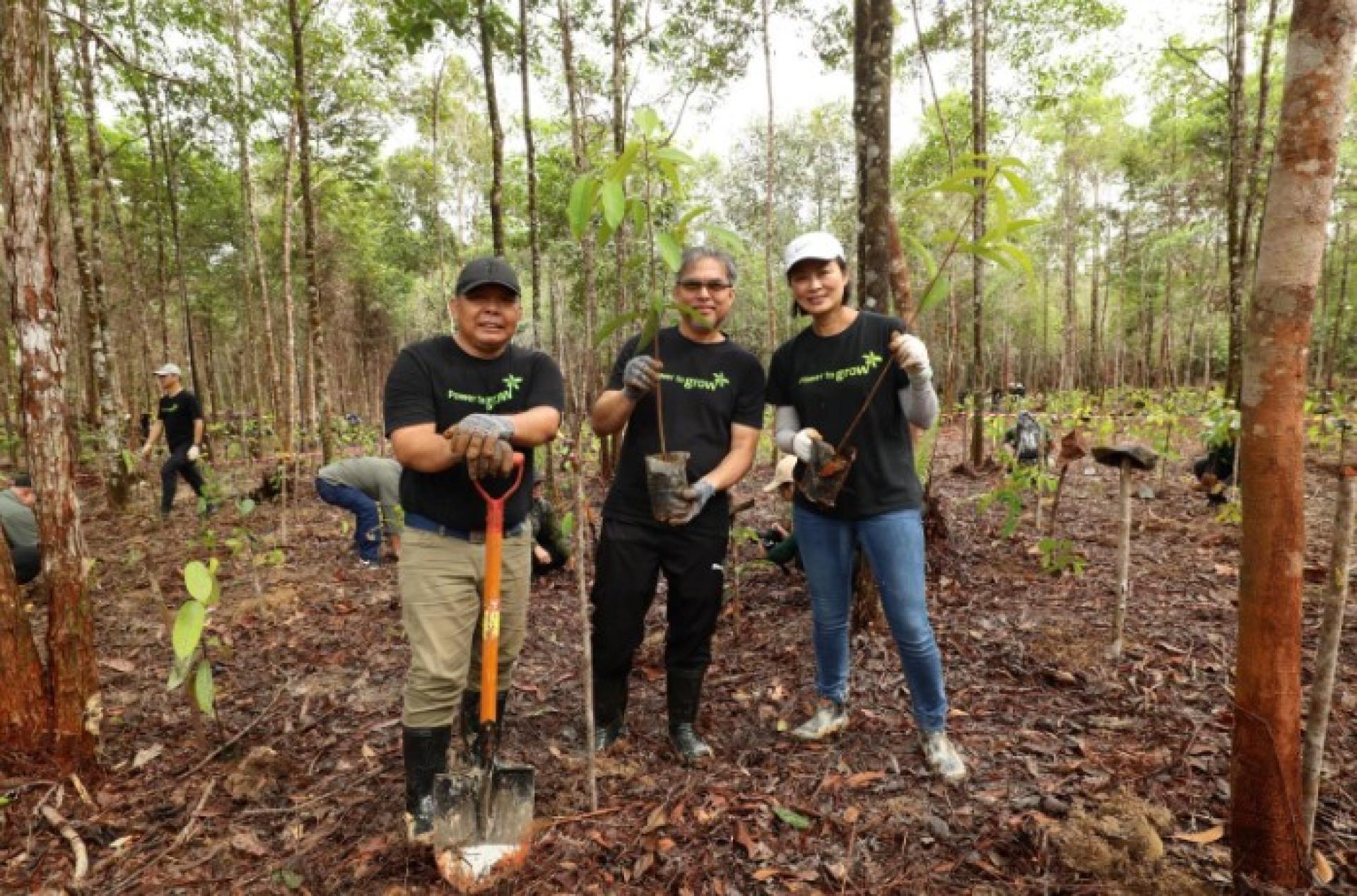 砂拉越能源有限公司员工与社区伙伴共同参与植树活动。