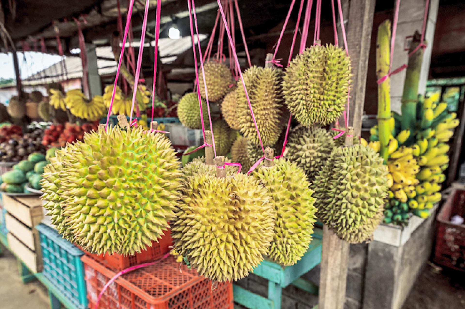 小摊贩悬挂榴莲销售，吸引民众驻足购买。