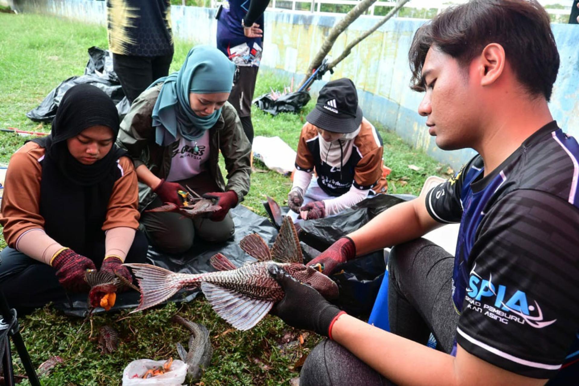 SPIA在玻璃市河展开“水下之光”行动，联同师生捕捞清道夫鱼等外来鱼种，改善河流生态。