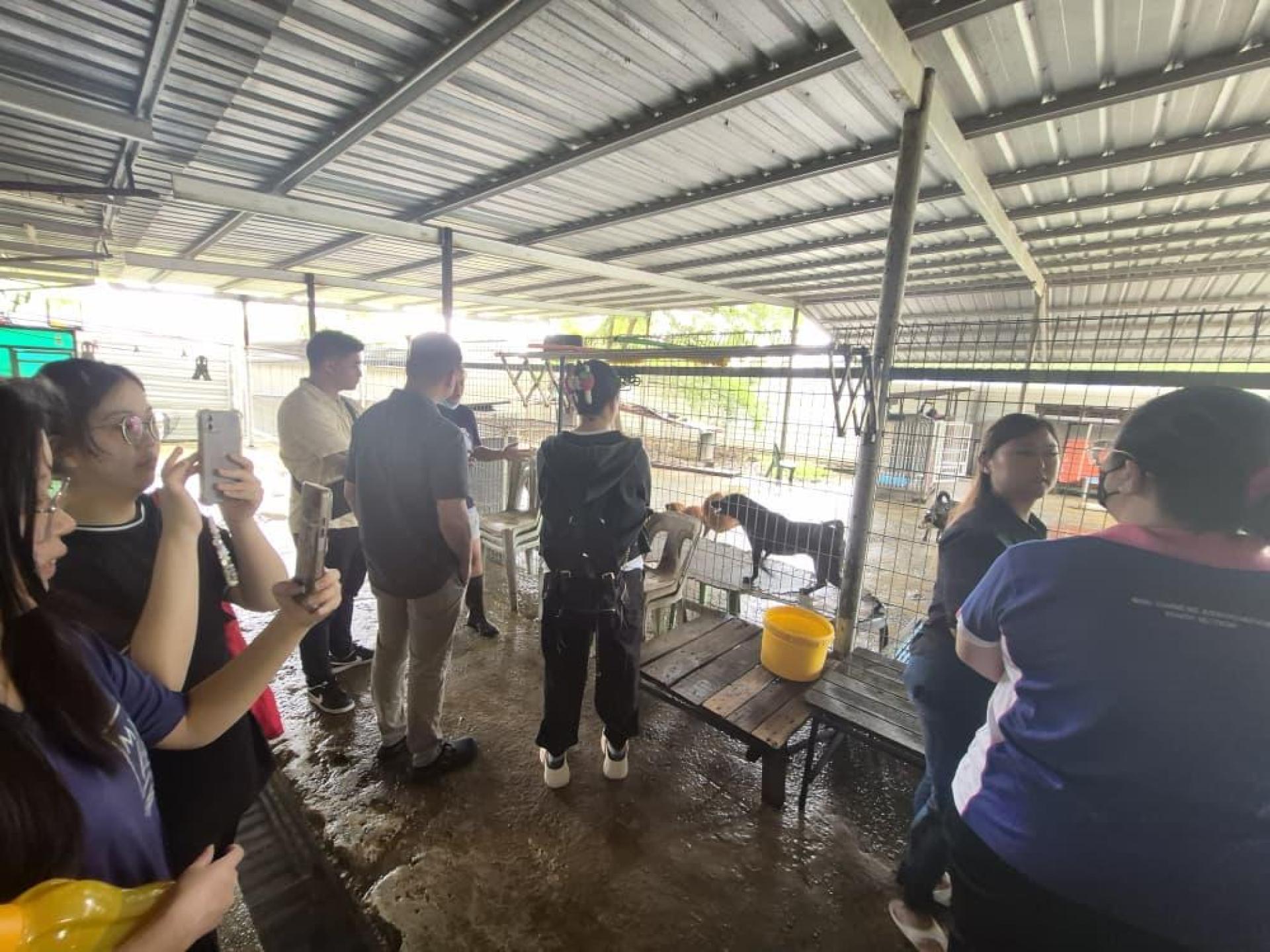 青年志愿者探访Zero Strays 流浪动物基地，深入认识流浪动物的生活环境及其实际需求。