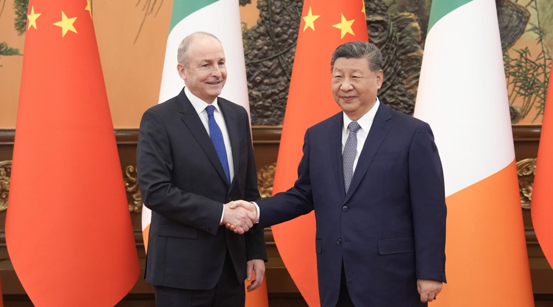 习近平会见马丁。