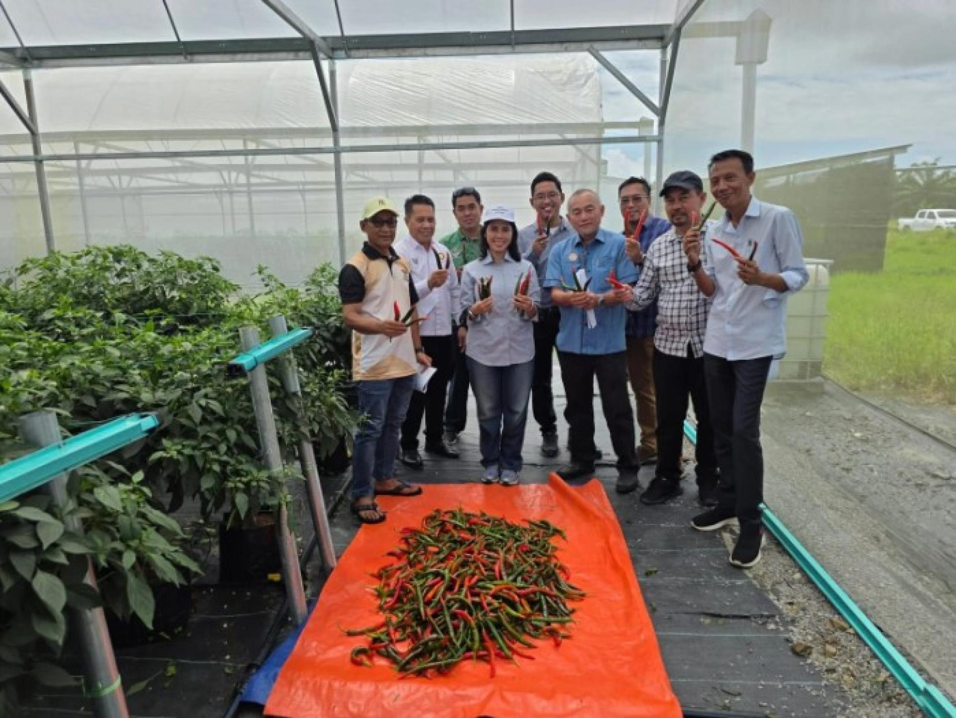 罗蒂雅萨皮在考察砂东再也Iboi/Pelandok地区滴灌–中等土壤蔬菜及水果种植发展项目时合影留念。