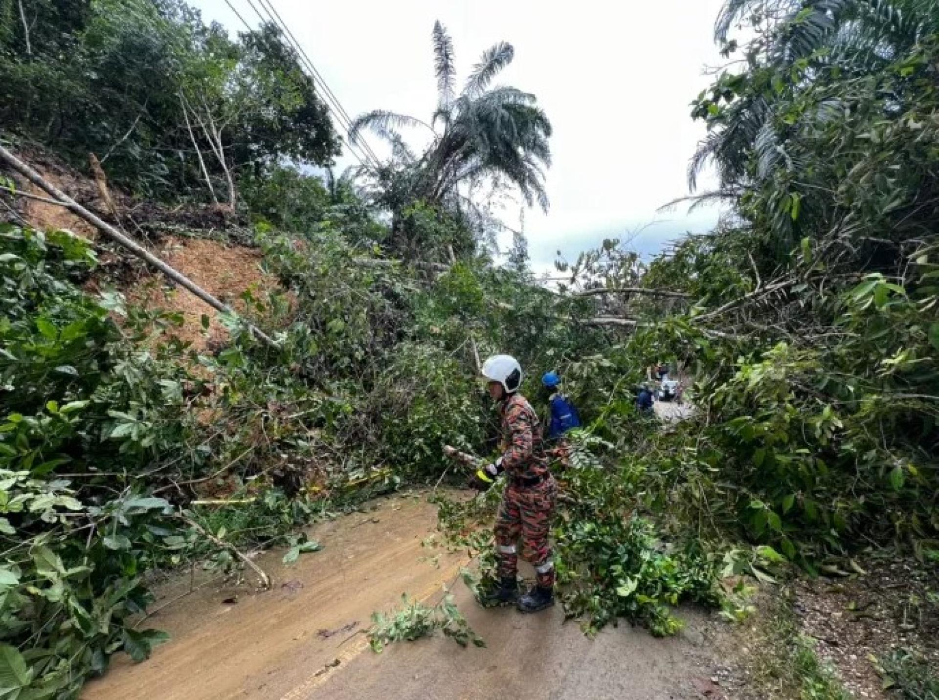2026年1月8日，消拯员在巴甘奴甘榜达拉哈德清理倒下树木，恢复道路通行。