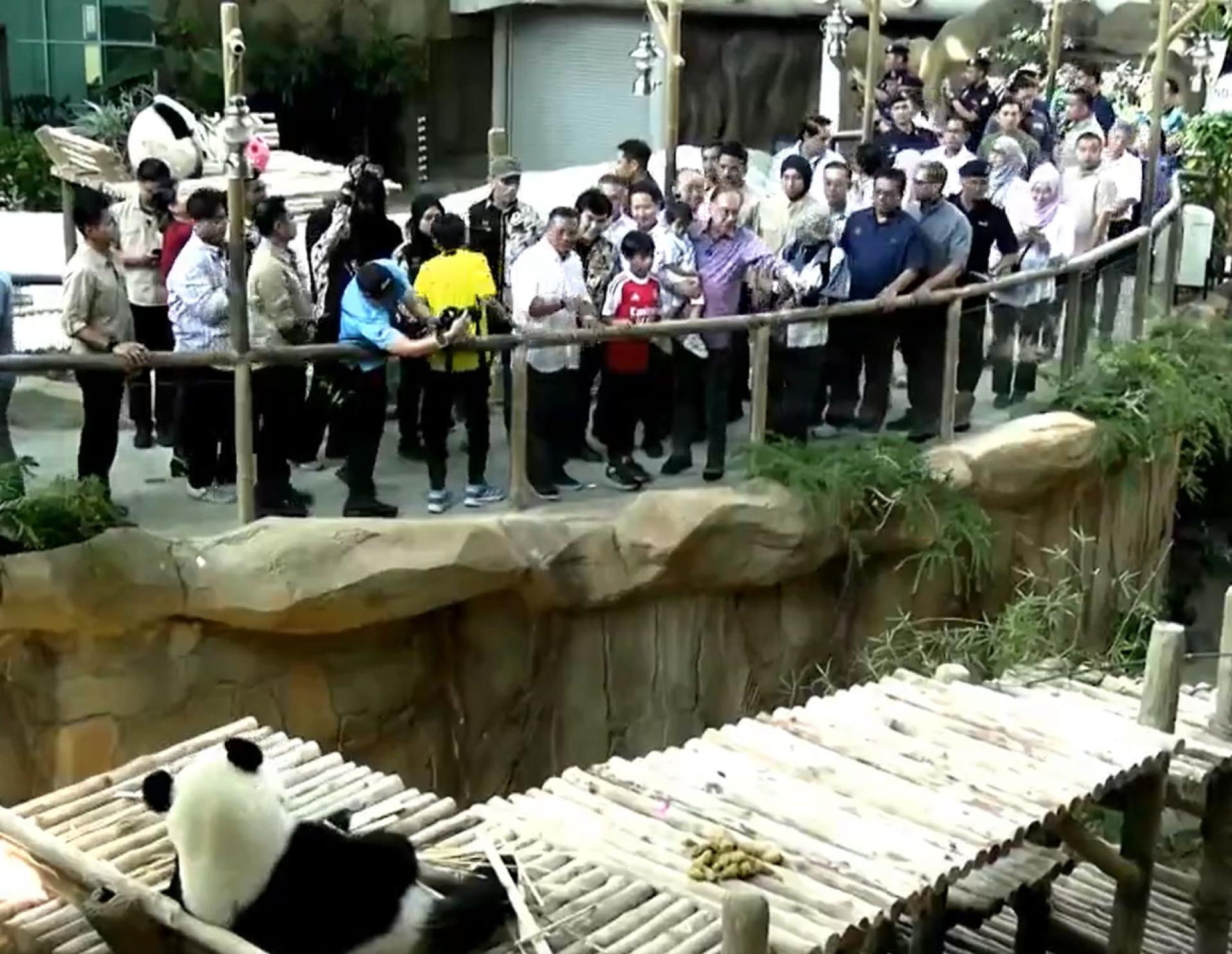 （直播视频截图）