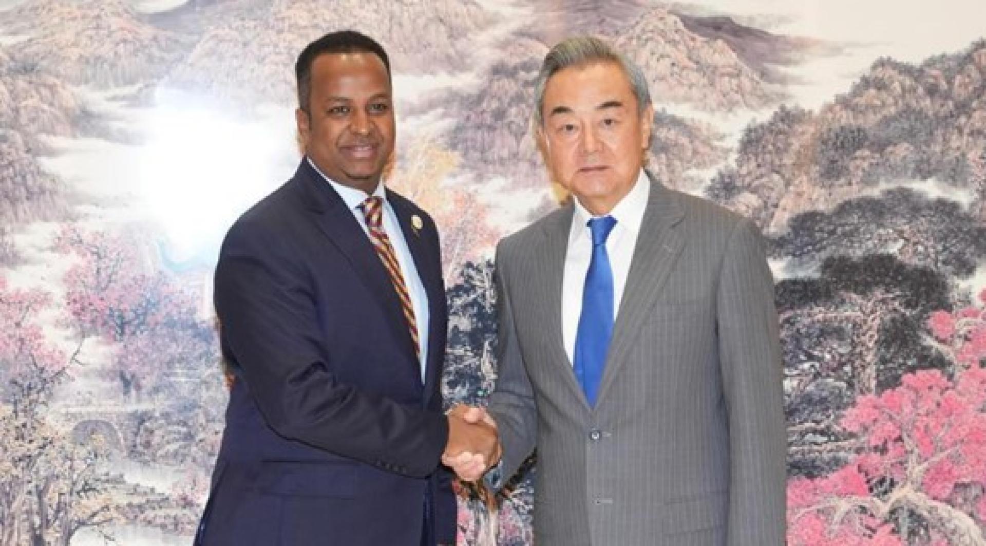 2025年6月中非合作论坛成果落实协调人部长级会议在湖南长沙举行期间，王毅会见德埃。