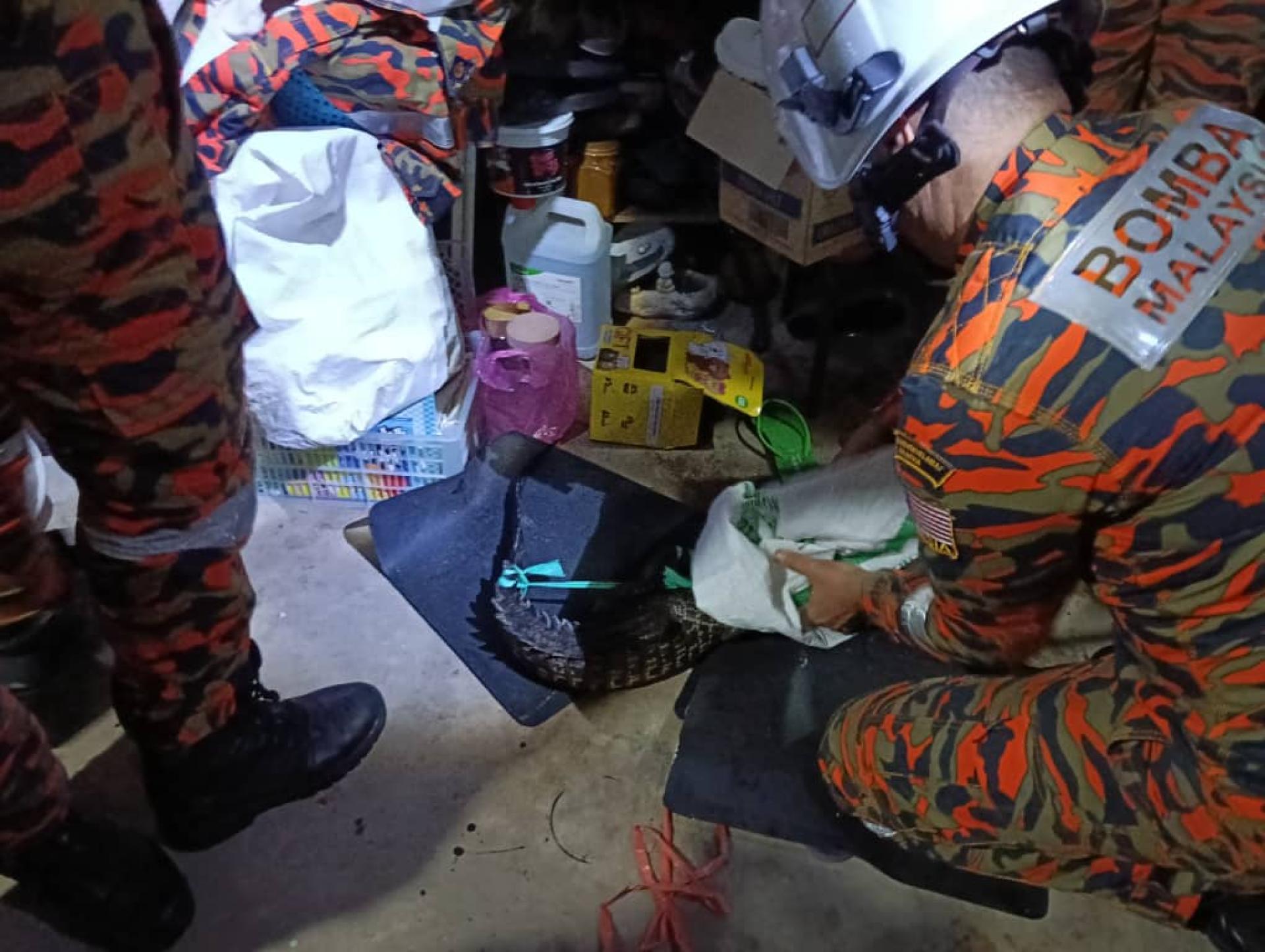 罗冰消拯局凌晨出动，成功捕捉幼鳄。